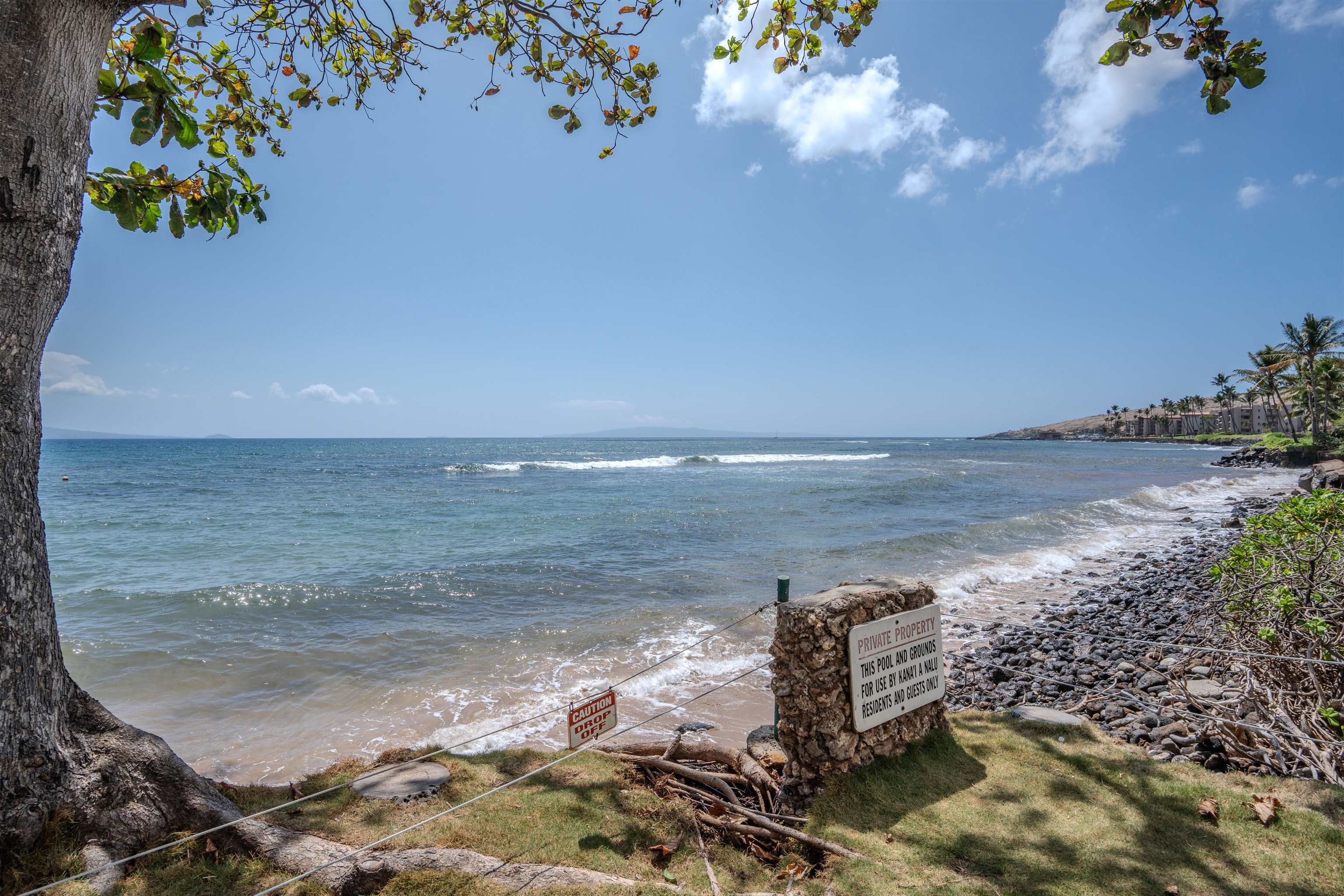 250 Hauoli St Property Photo 35
