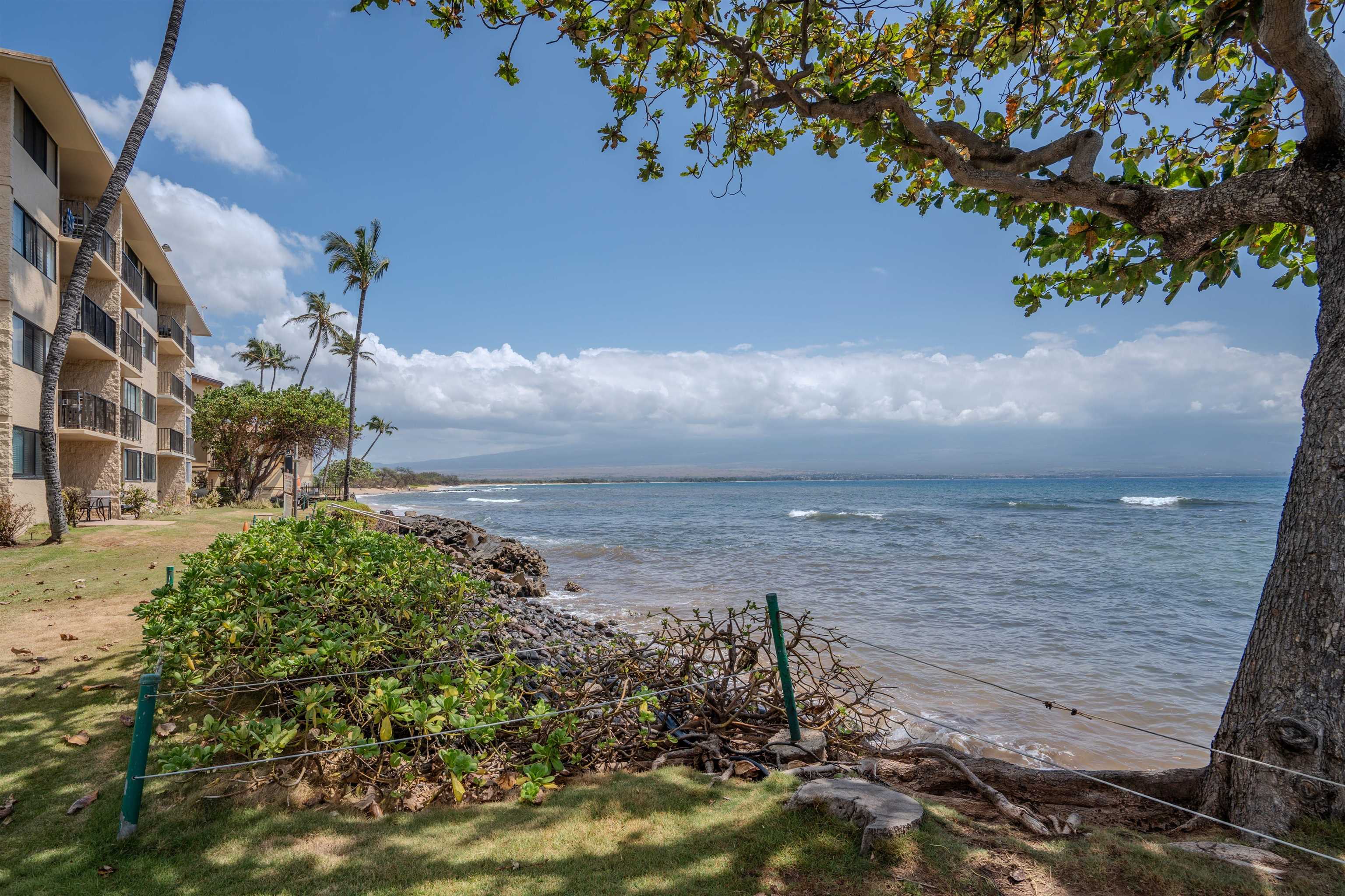 250 Hauoli St Property Photo 36