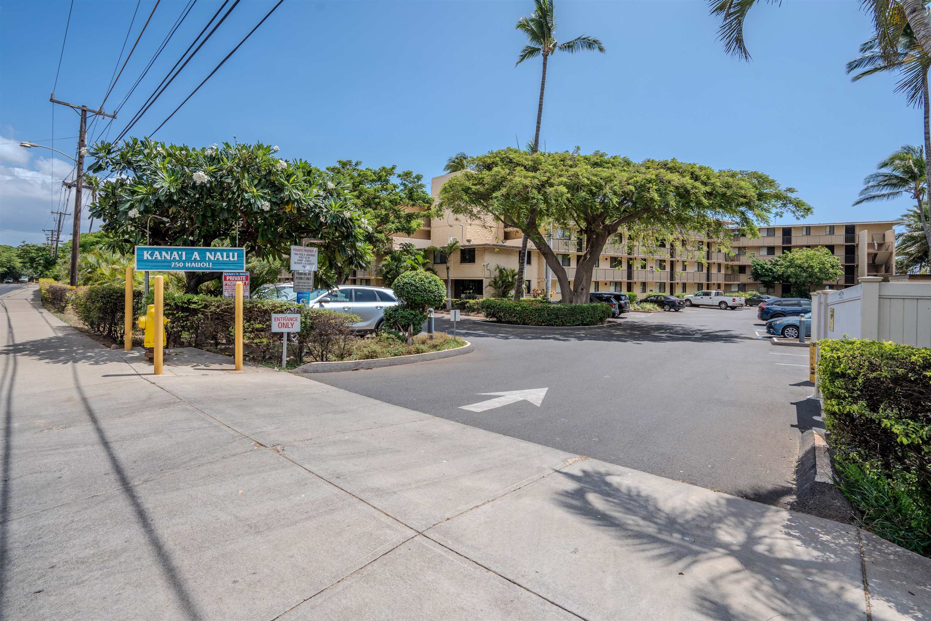 250 Hauoli St Property Photo 37
