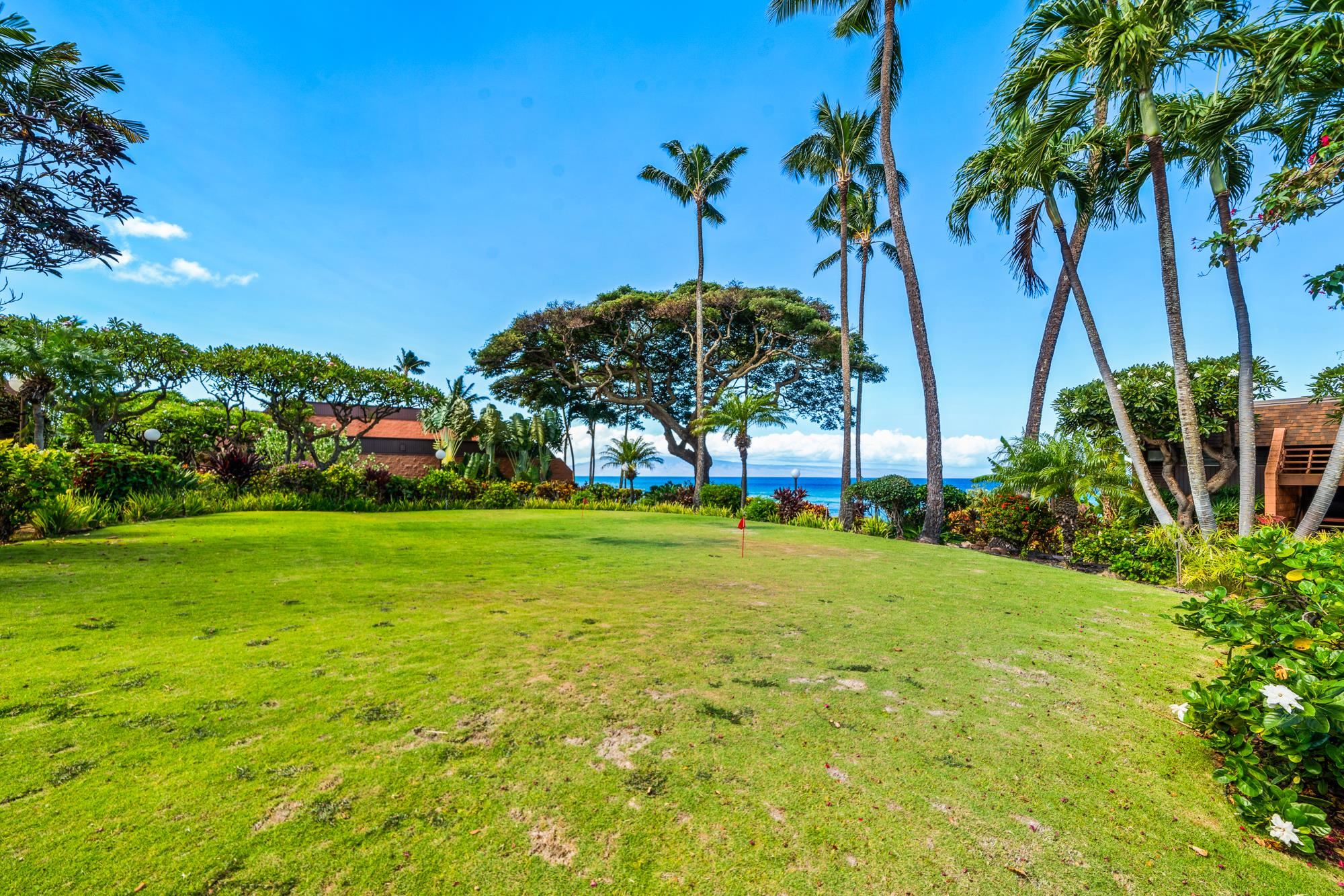3959 Lower Honoapiilani Rd Property Photo 31