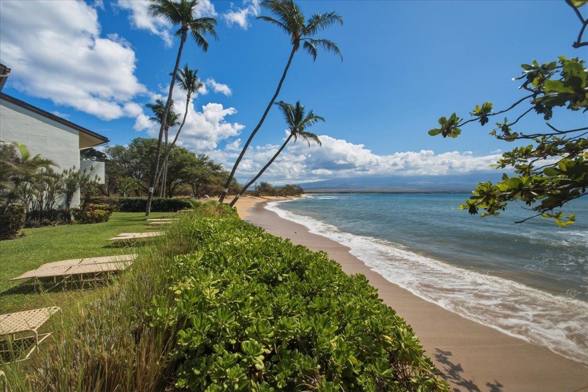 300 Hauoli St Property Photo 17
