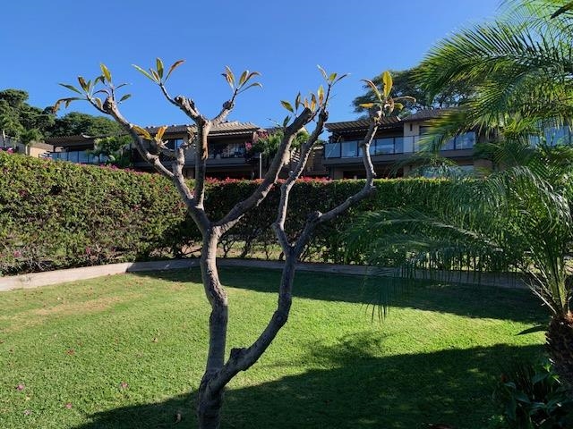 3600 Wailea Alanui Dr Property Photo 5
