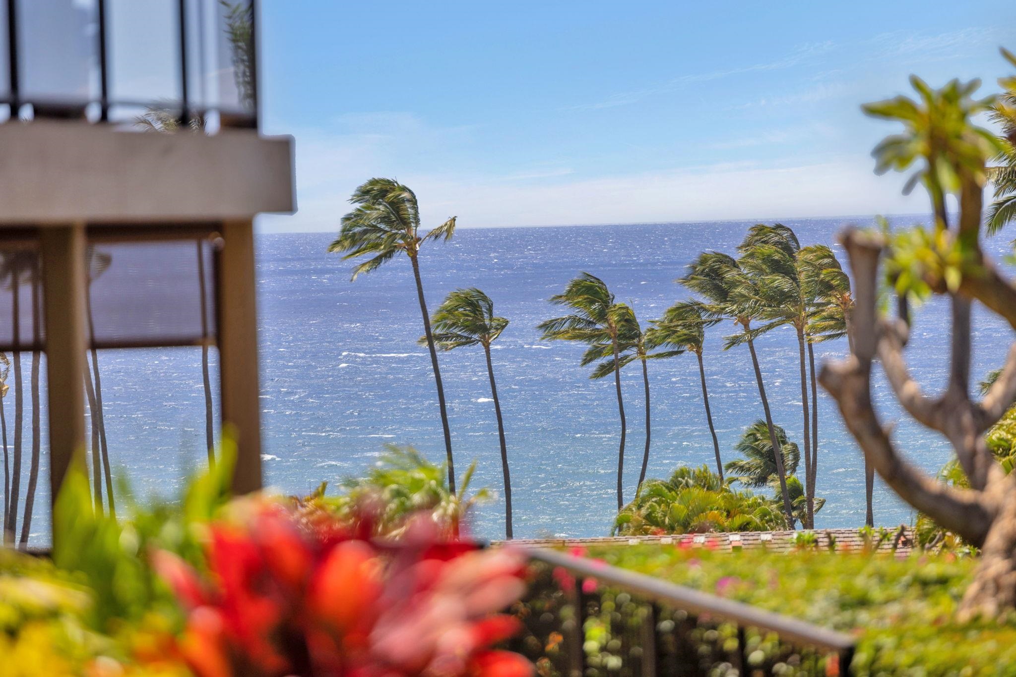 3600 Wailea Alanui Dr Property Photo 20