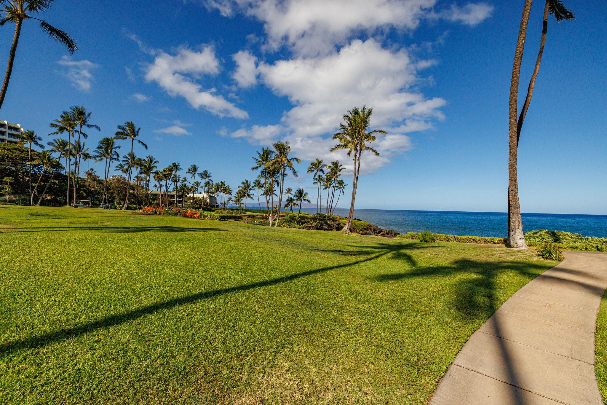 3600 Wailea Alanui Dr Property Photo 22
