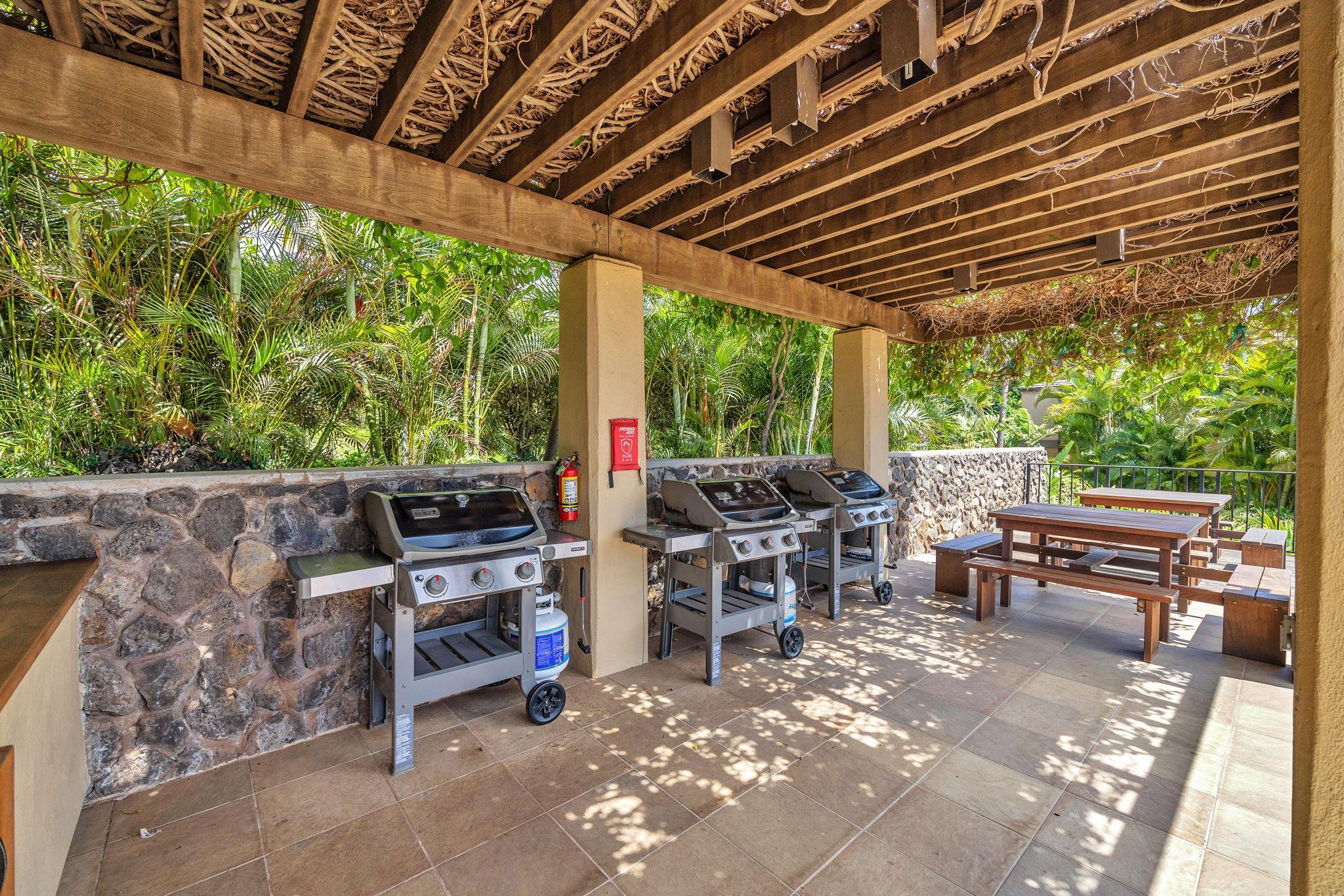3600 Wailea Alanui Dr Property Photo 29