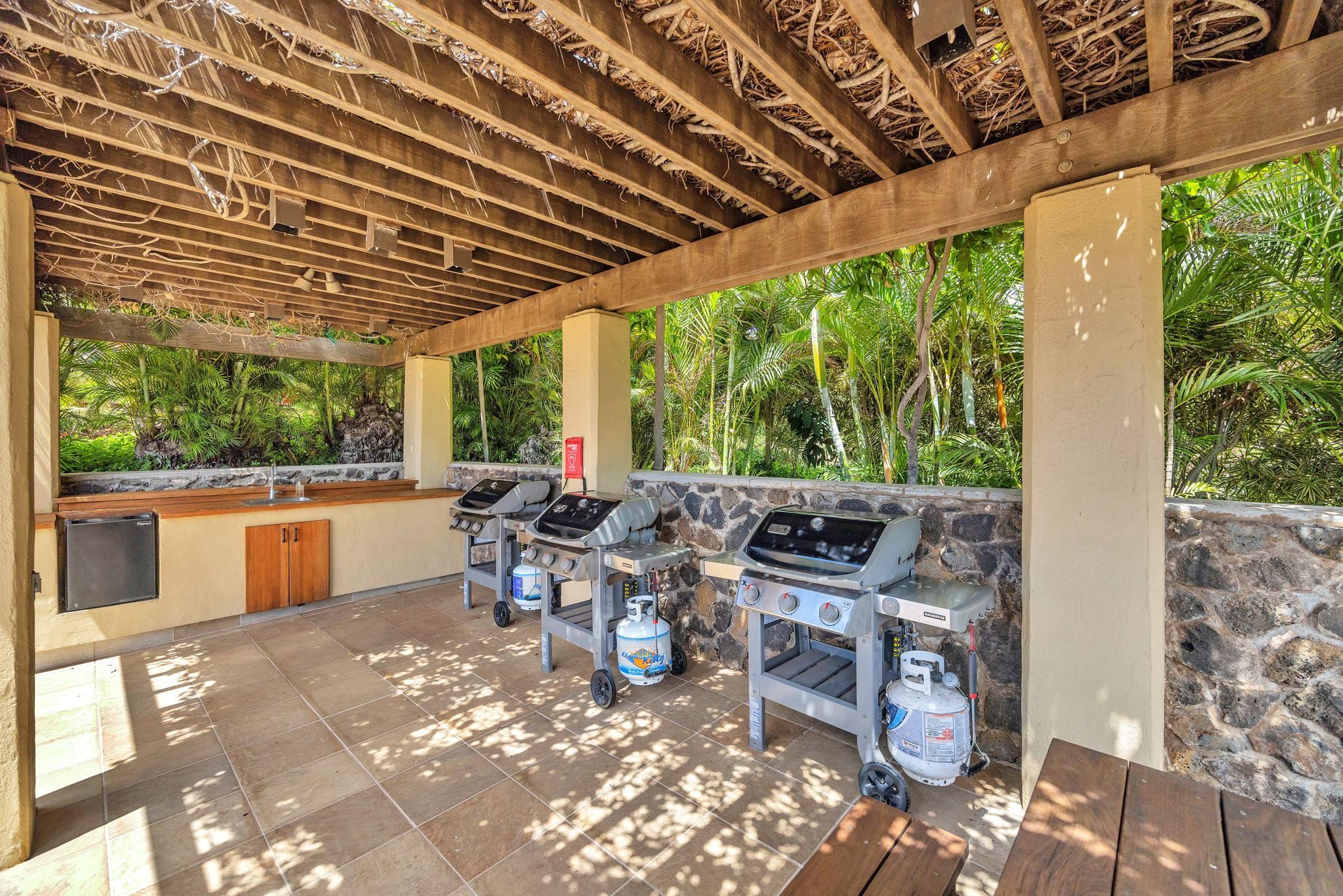 3600 Wailea Alanui Dr Property Photo 30