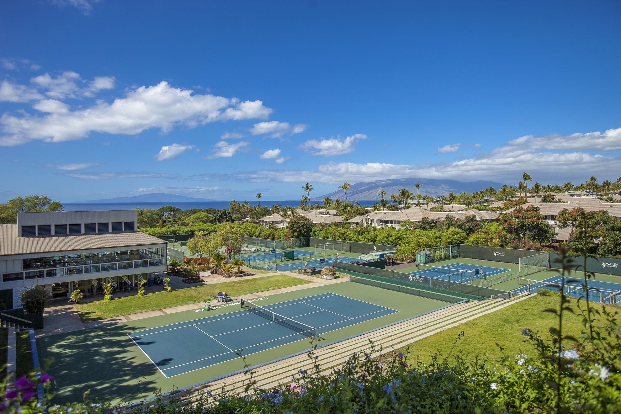 155 Wailea Ike Pl Property Photo 8