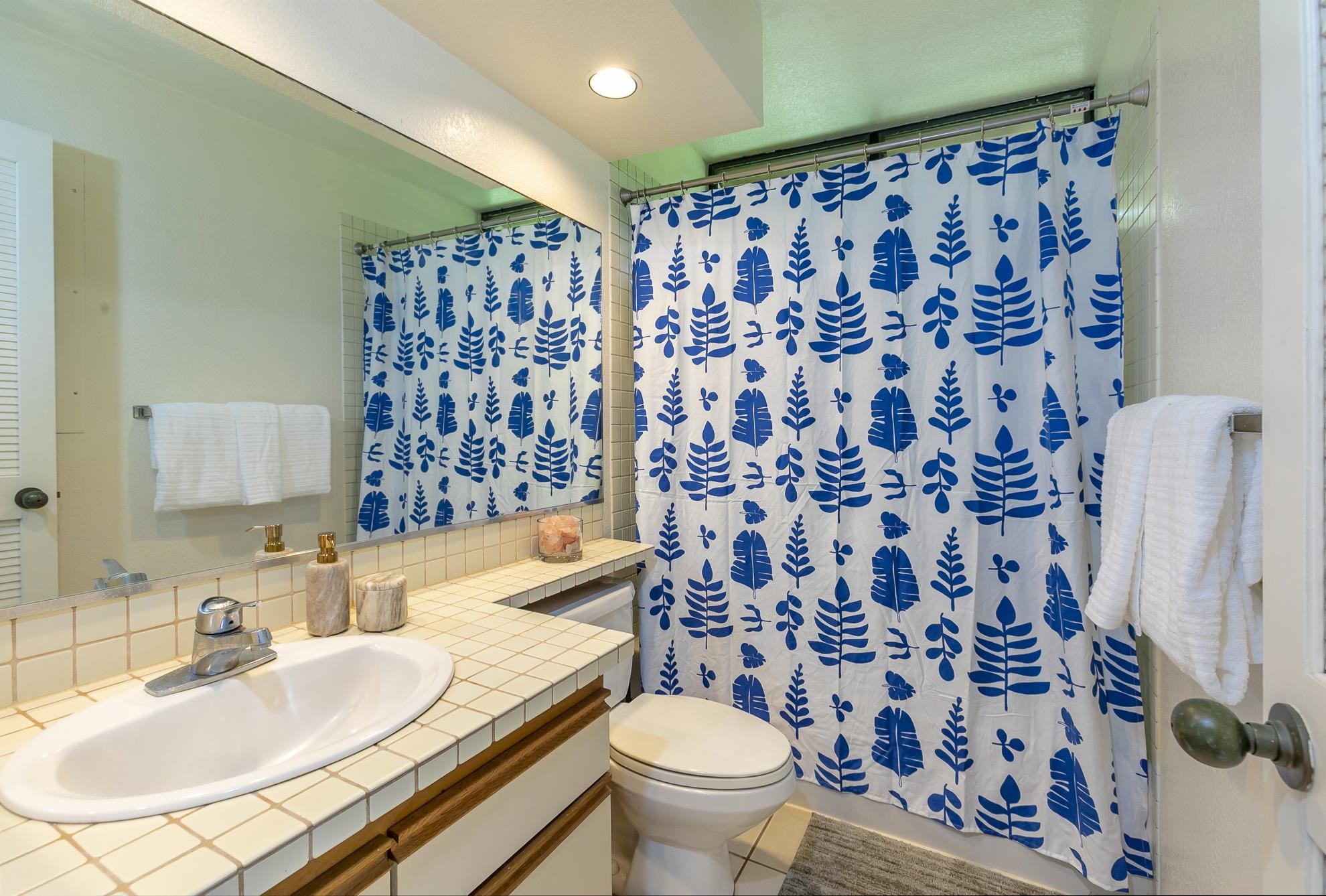 155 Wailea Ike Pl Property Photo 16