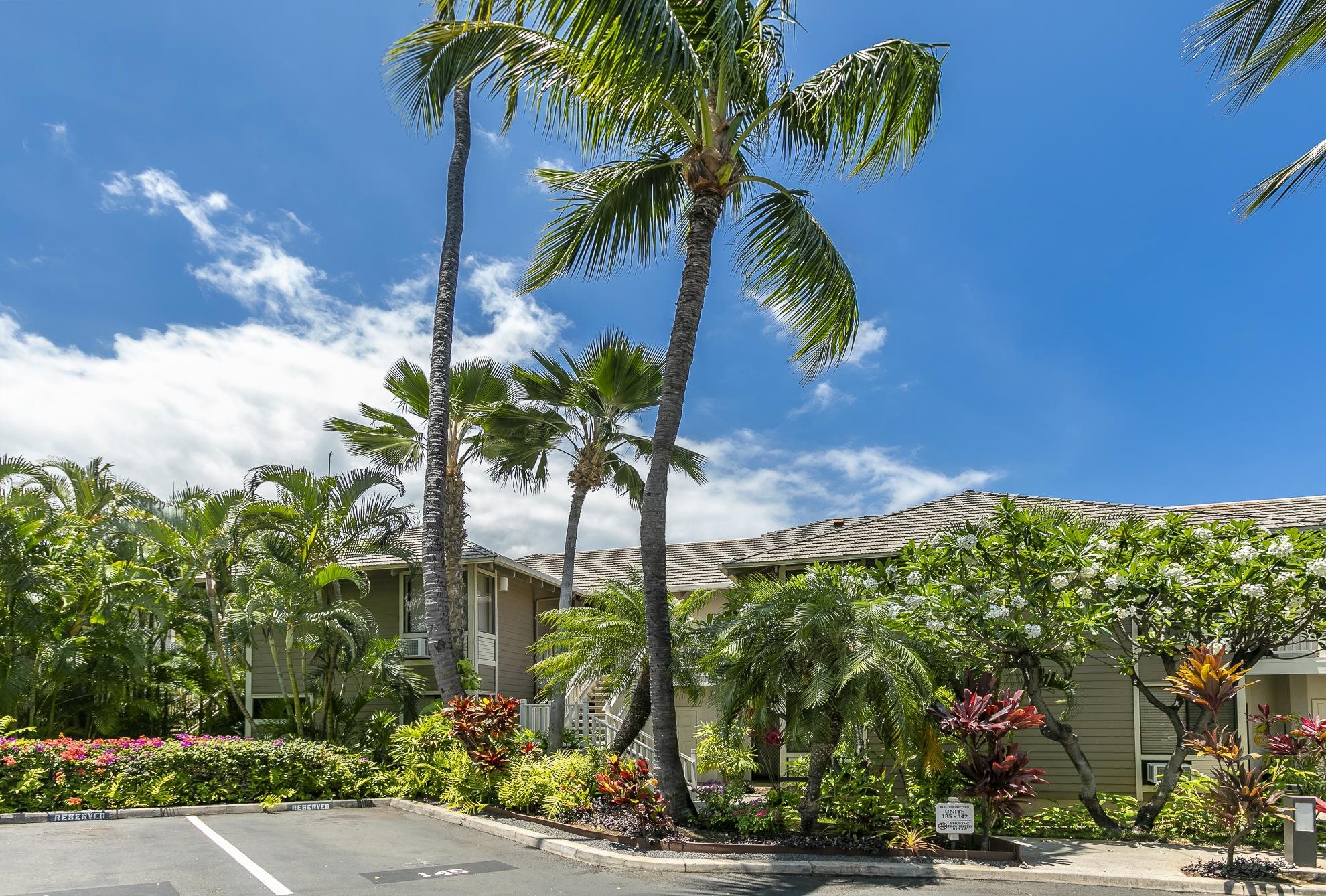 155 Wailea Ike Pl Property Photo 18
