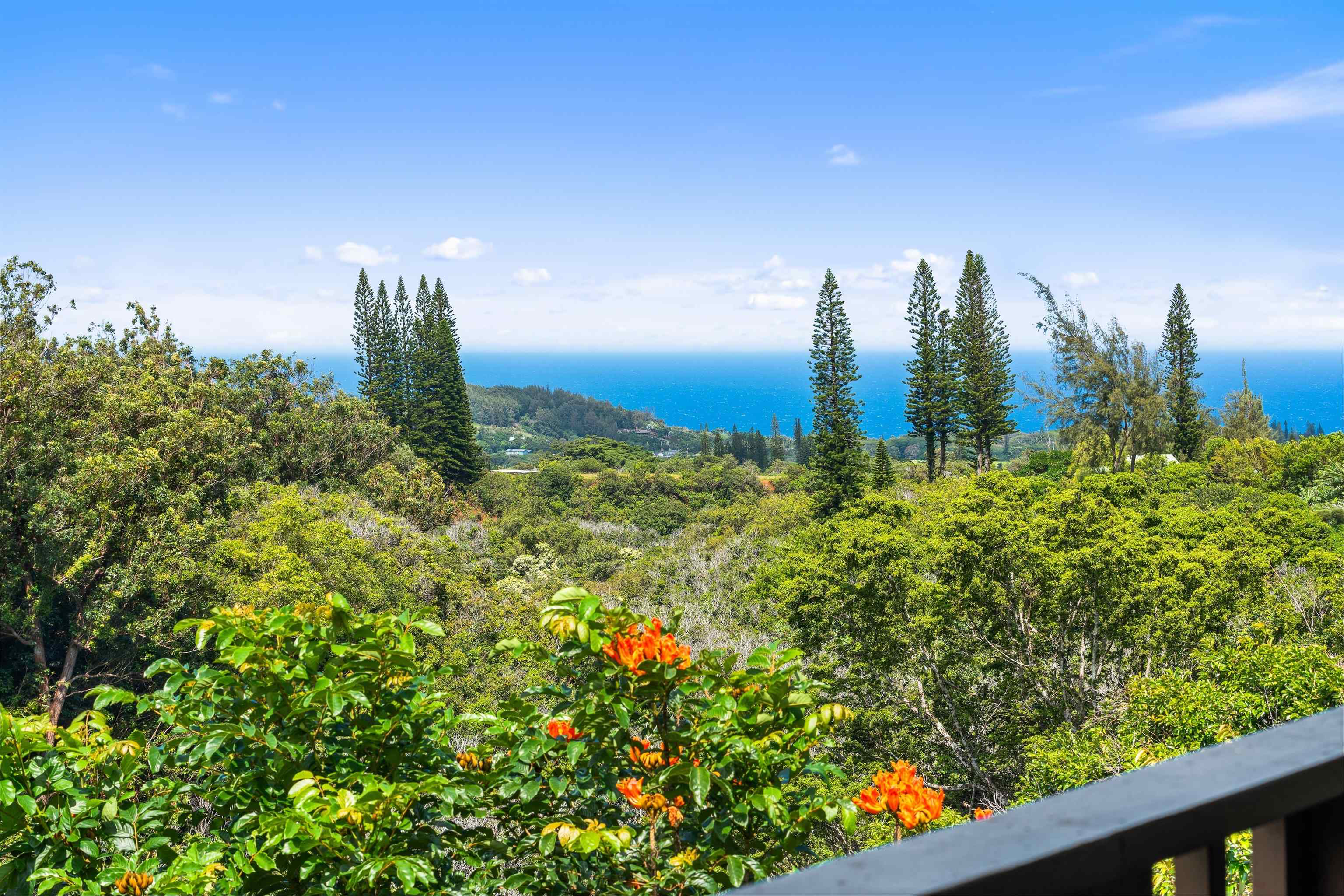 1330 Kauhikoa Rd Property Photo 2