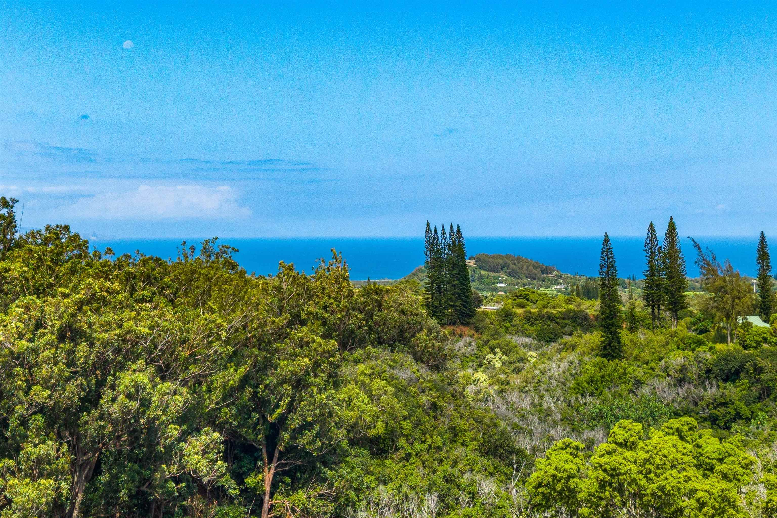 1330 Kauhikoa Rd Property Photo 42