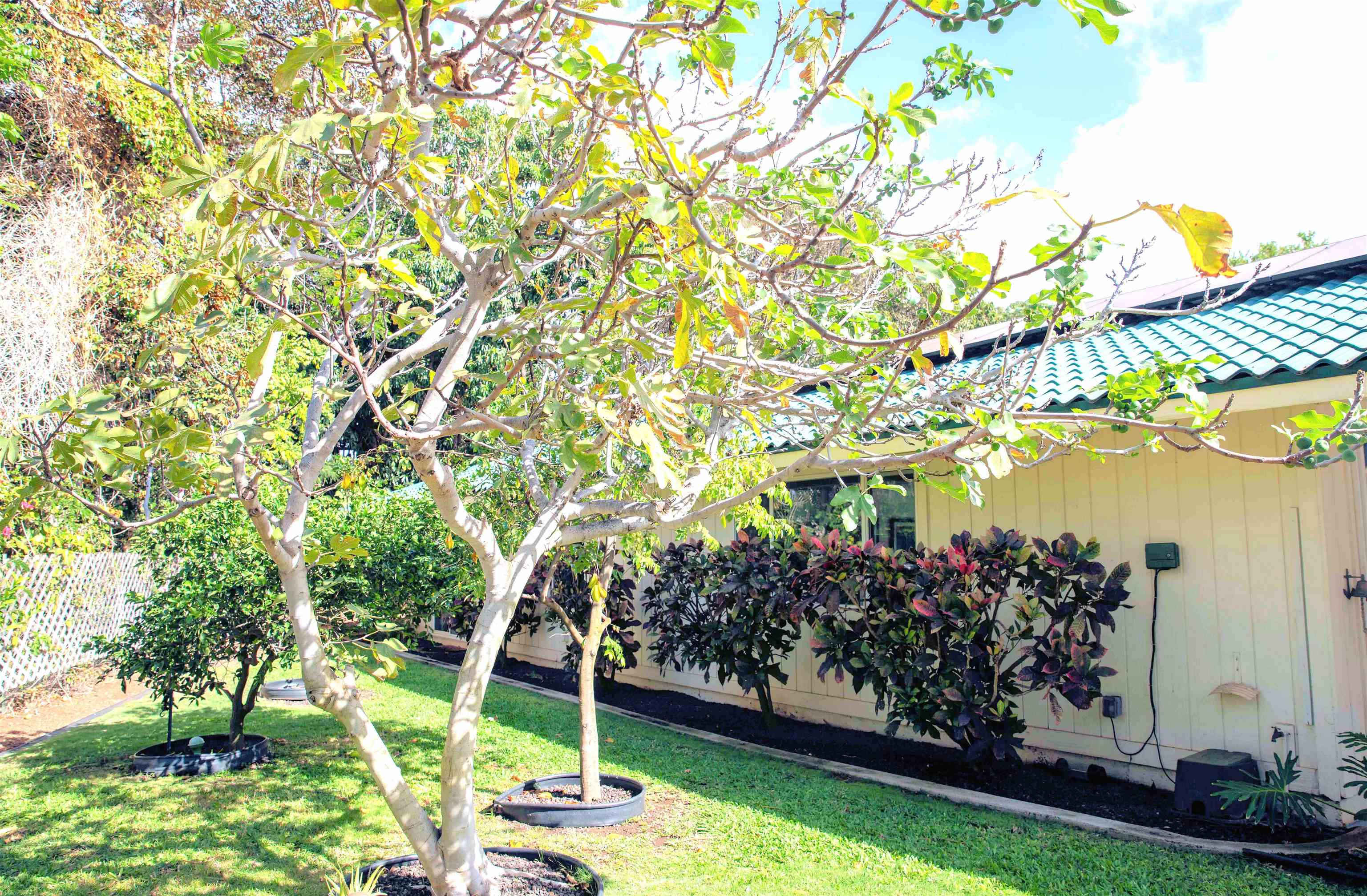 163 Mehani Cir Property Photo 11
