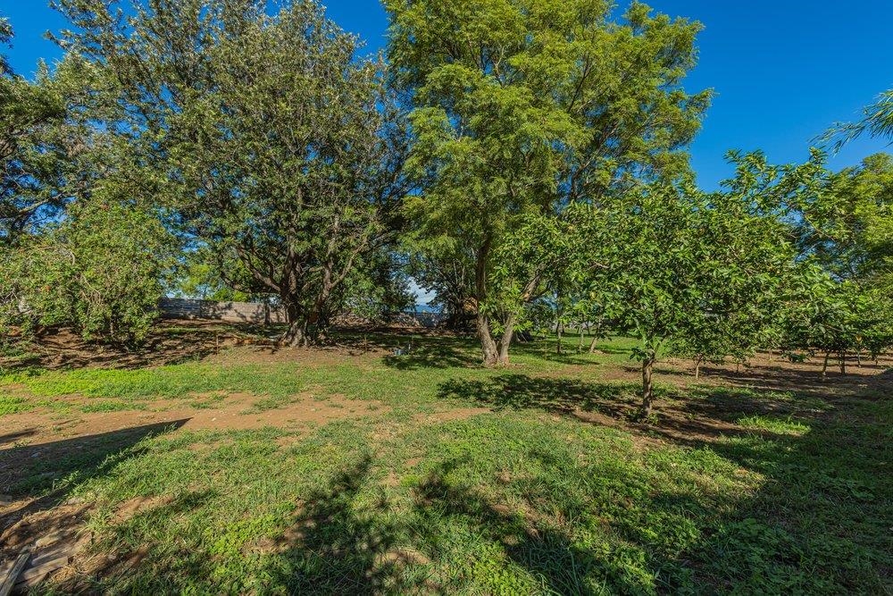 26 Kula Hwy Property Photo 10