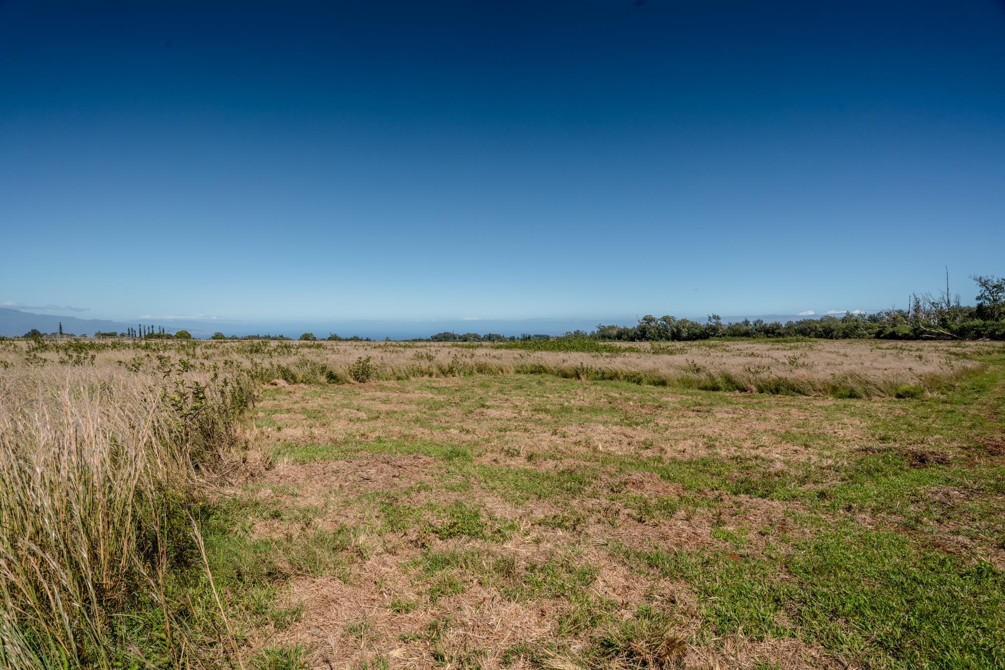 93 Piiholo Rd Property Photo 8