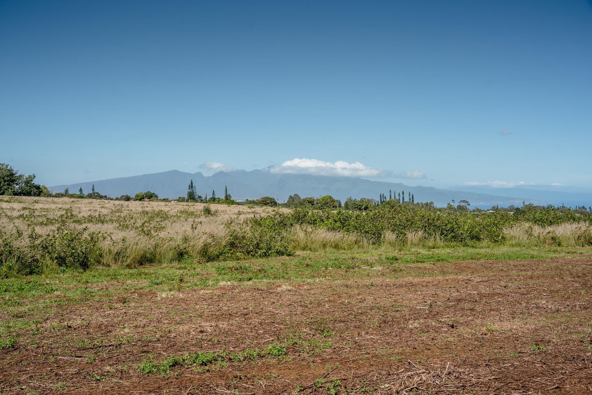 93 Piiholo Rd Property Photo 11