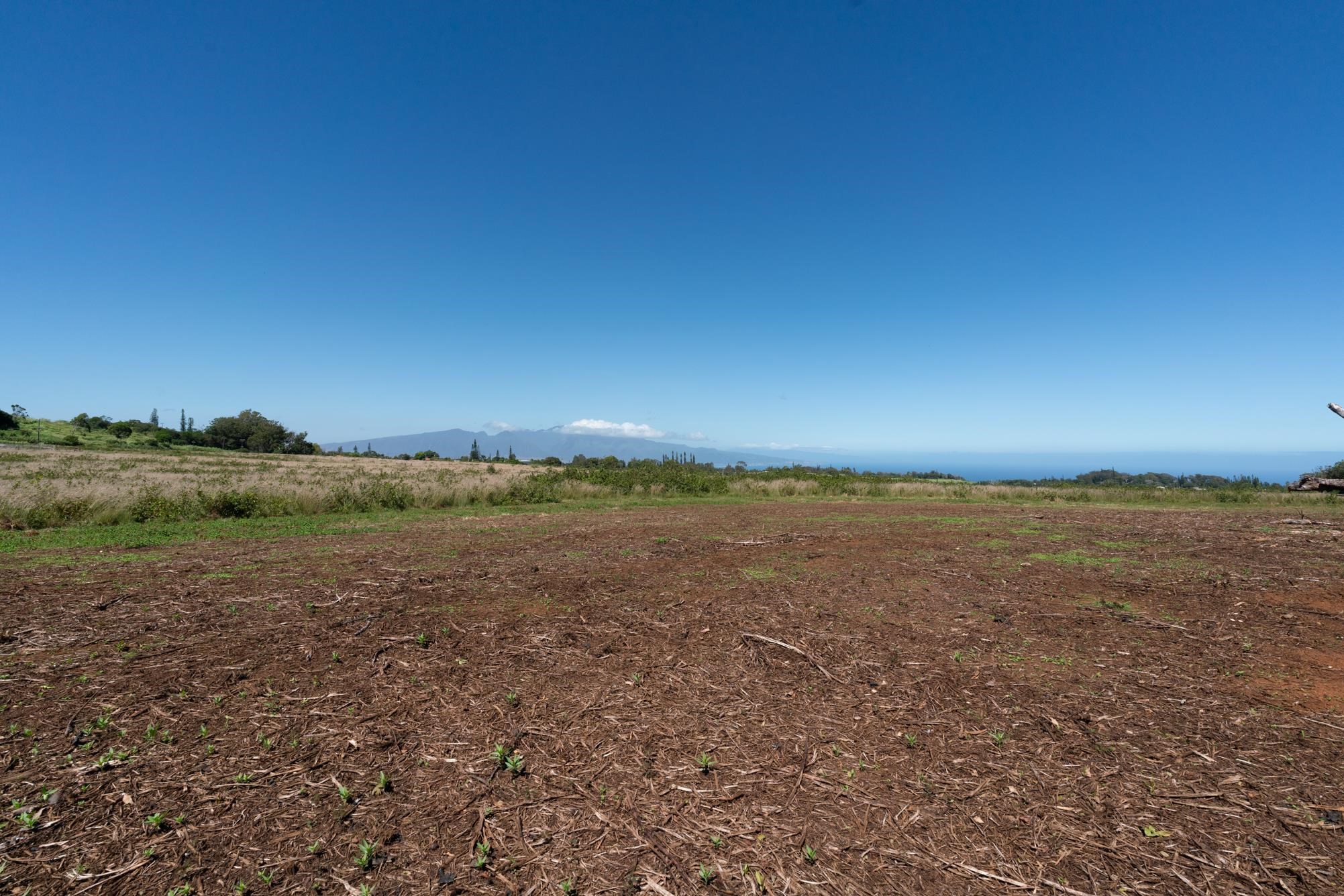 93 Piiholo Rd Property Photo 14