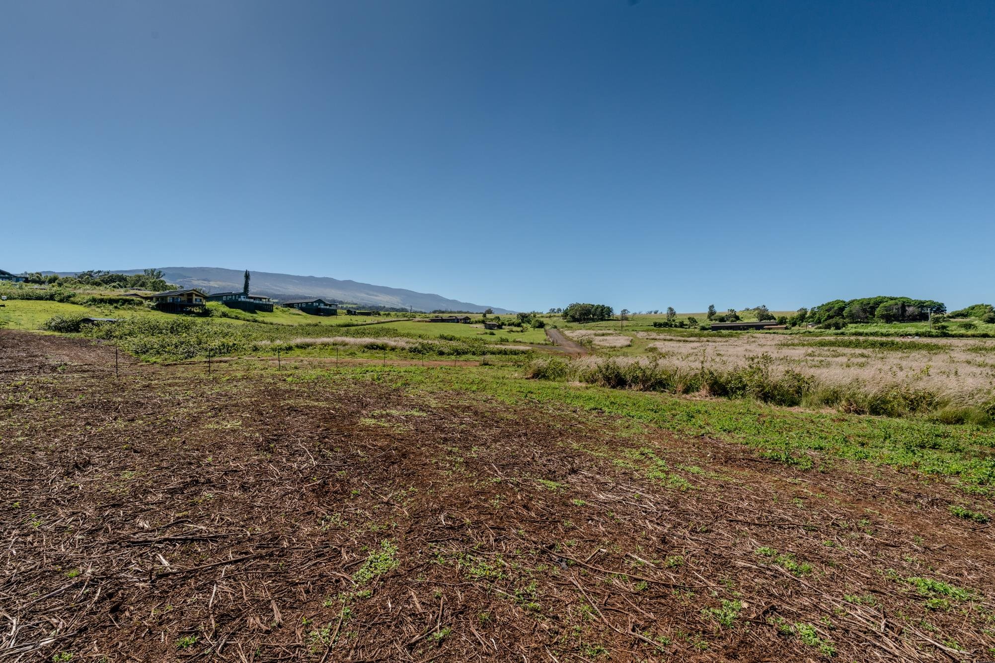 93 Piiholo Rd Property Photo 15