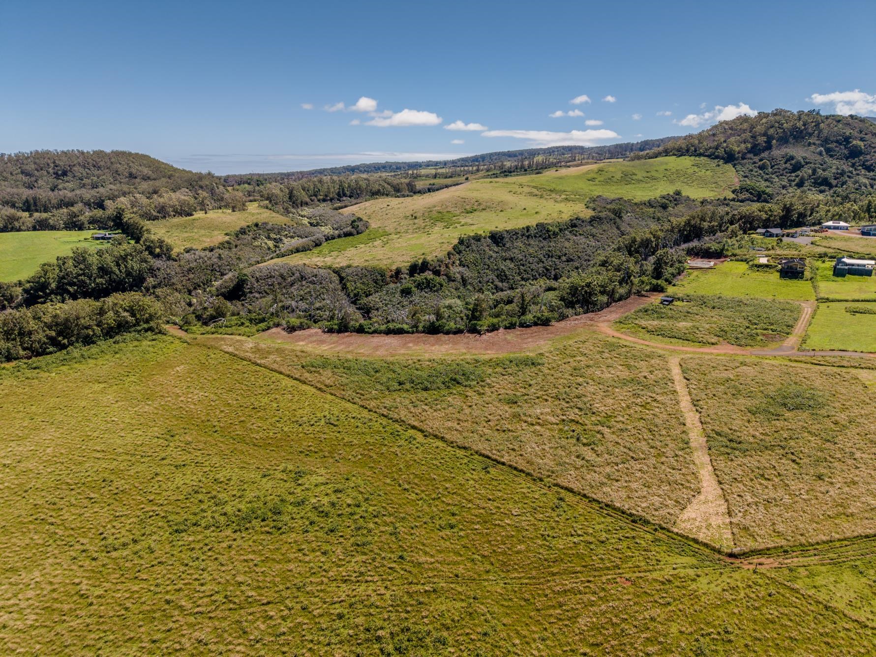 93 Piiholo Rd Property Photo 16