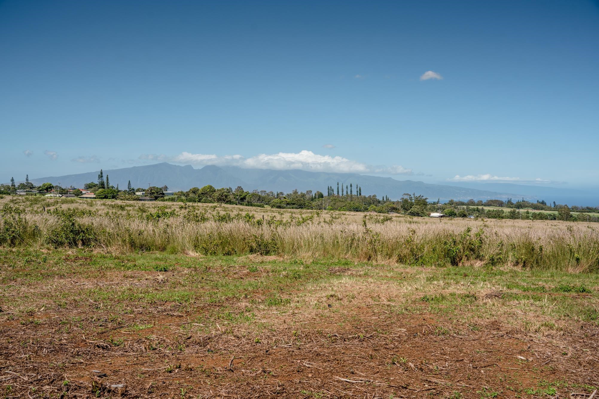 93 Piiholo Rd Property Photo 18