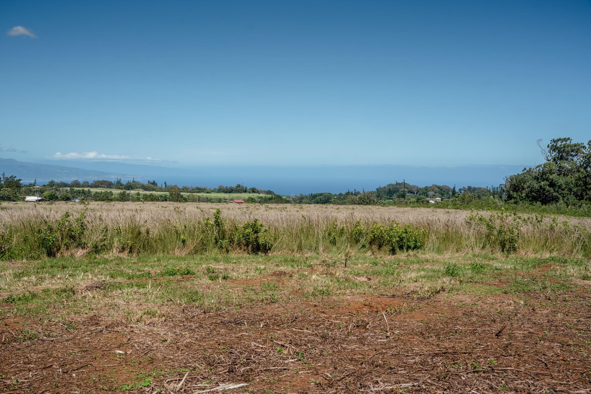 93 Piiholo Rd Property Photo 19