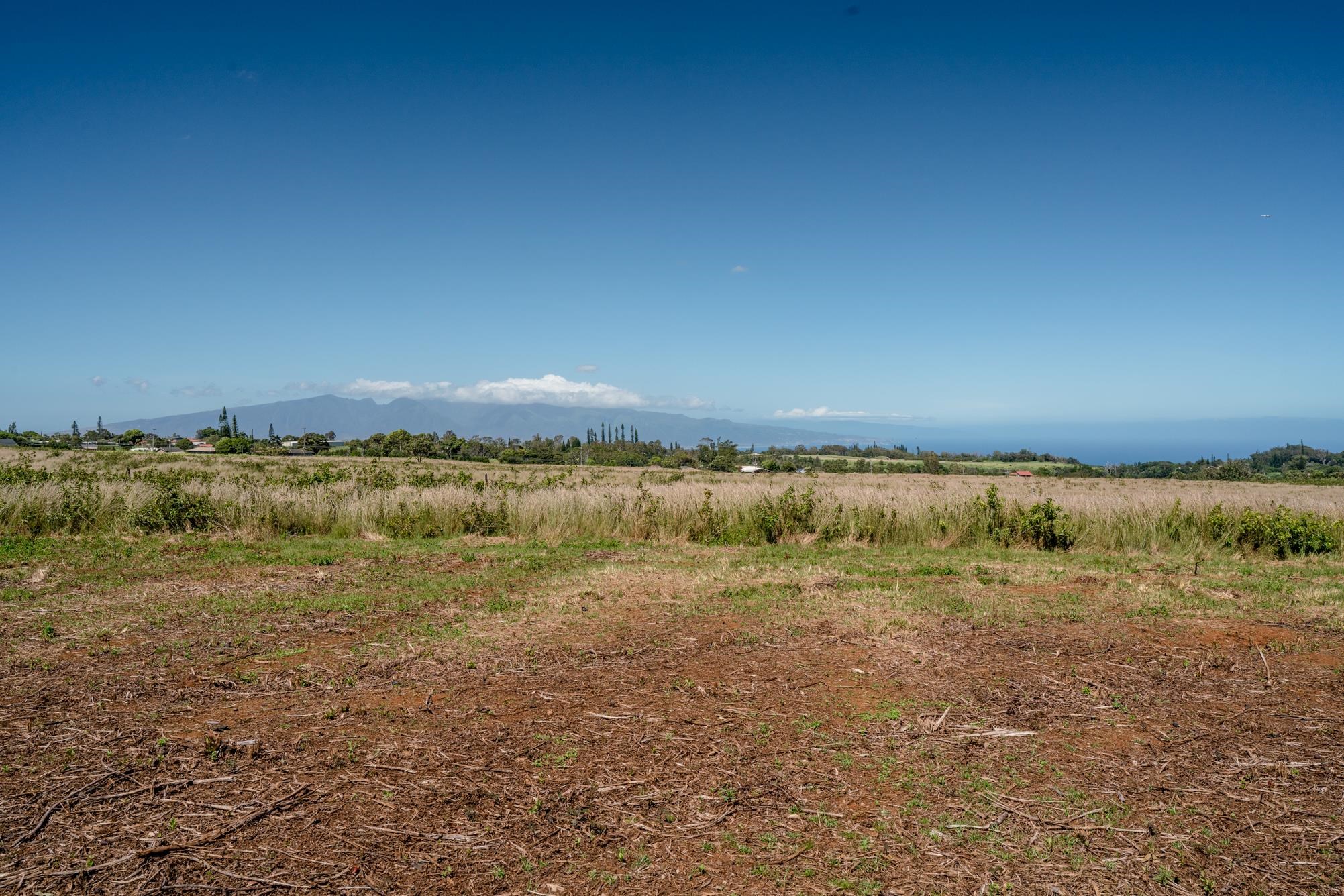 93 Piiholo Rd Property Photo 20