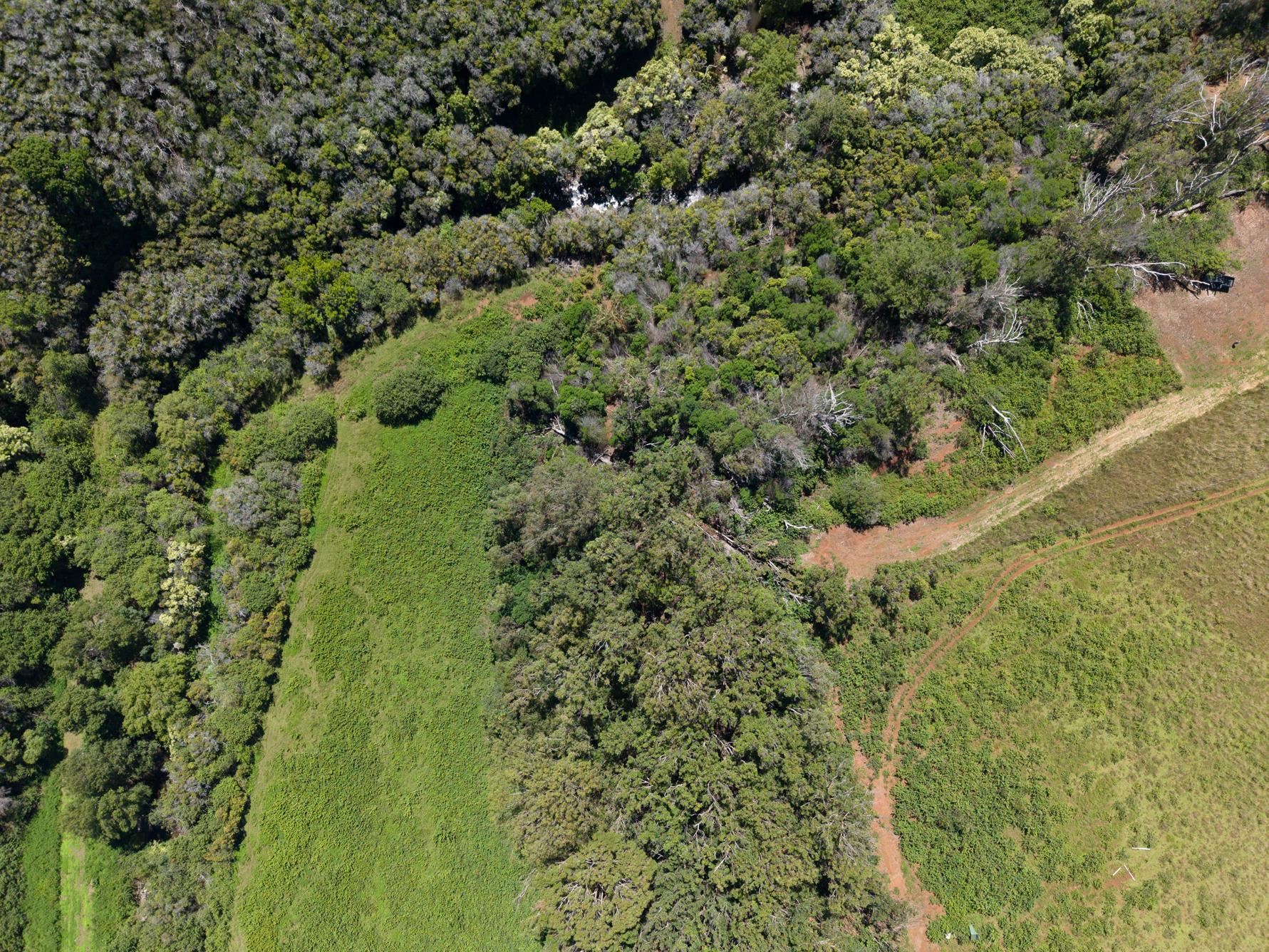 93 Piiholo Rd Property Photo 21