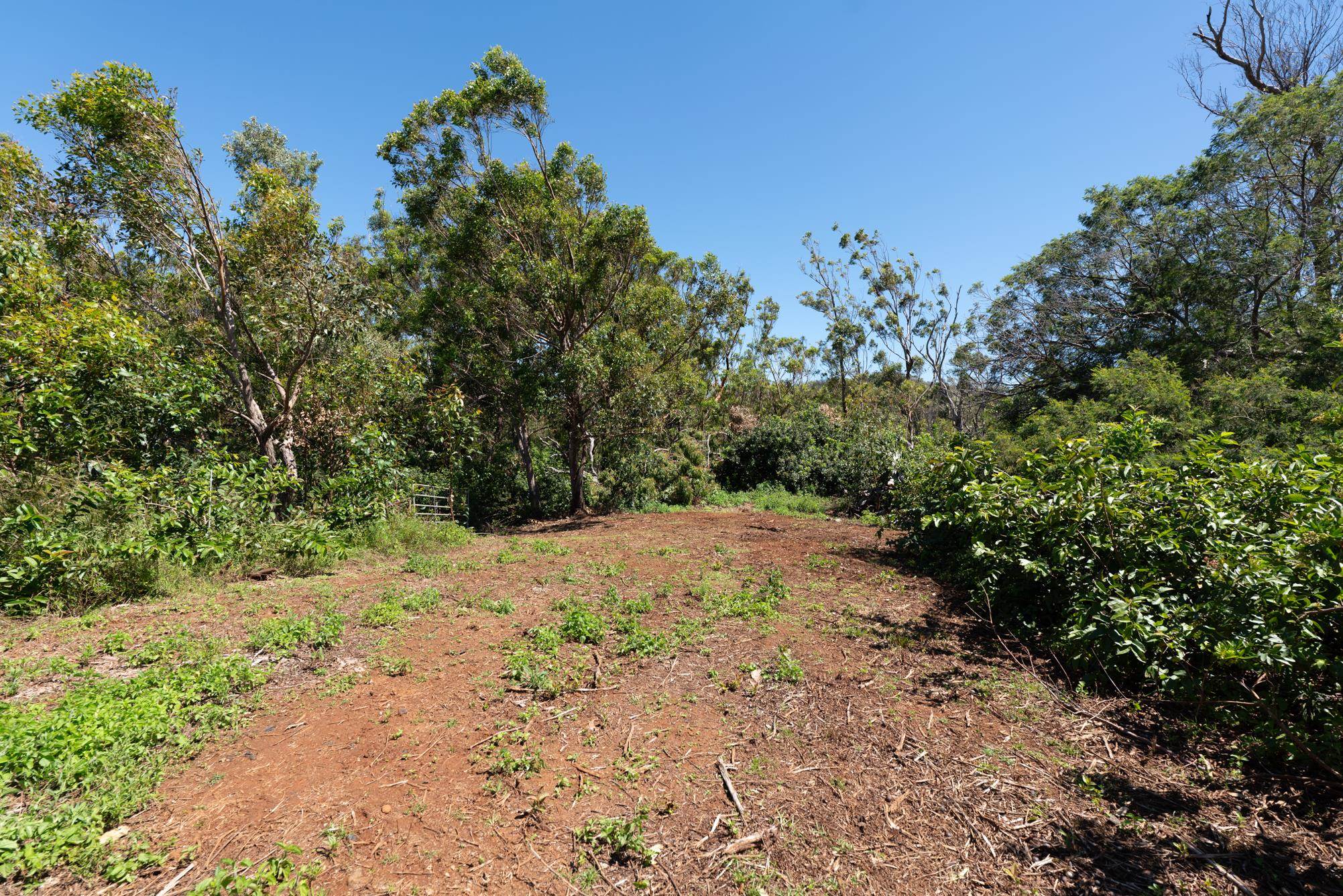 93 Piiholo Rd Property Photo 23