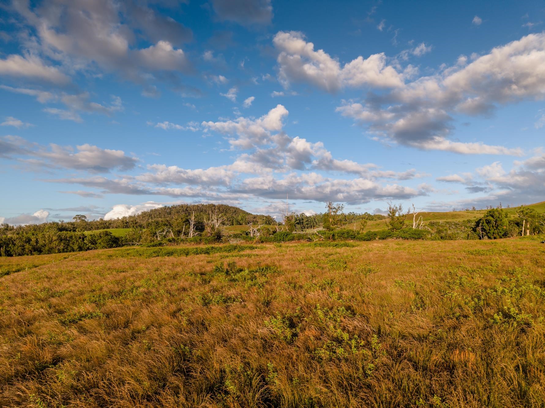 93 Piiholo Rd Property Photo 33
