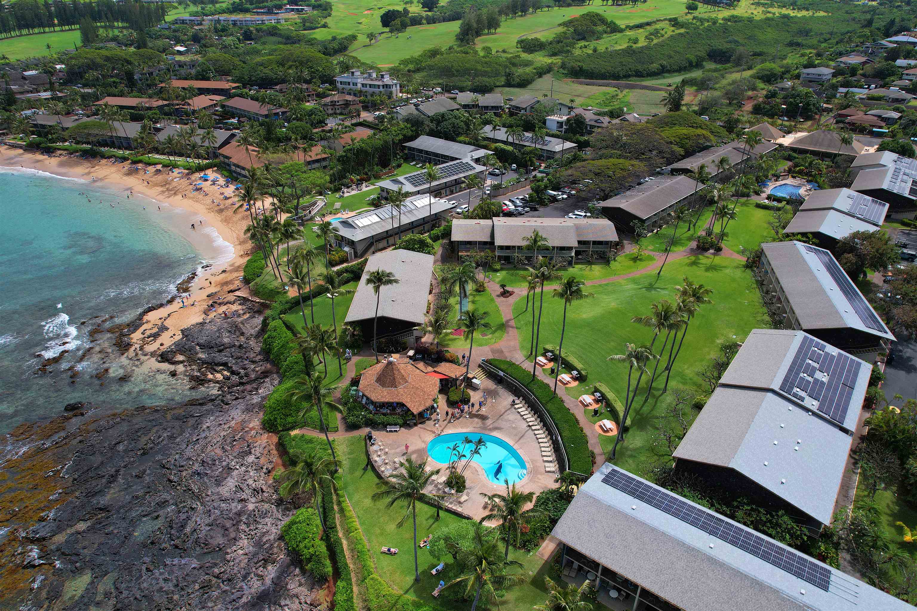5315 Lower Honoapiilani Rd Property Photo 2