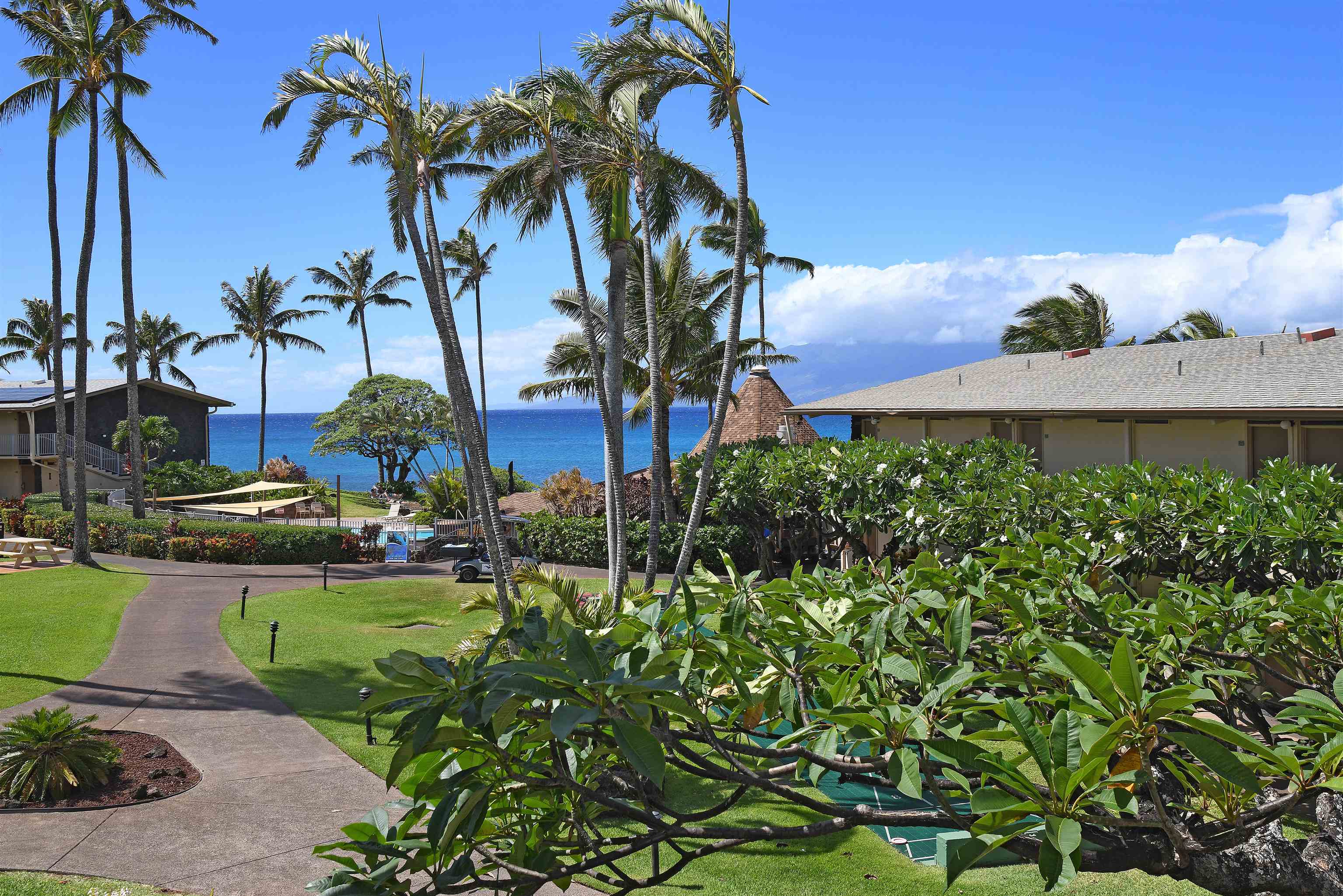 5315 Lower Honoapiilani Rd Property Photo 26