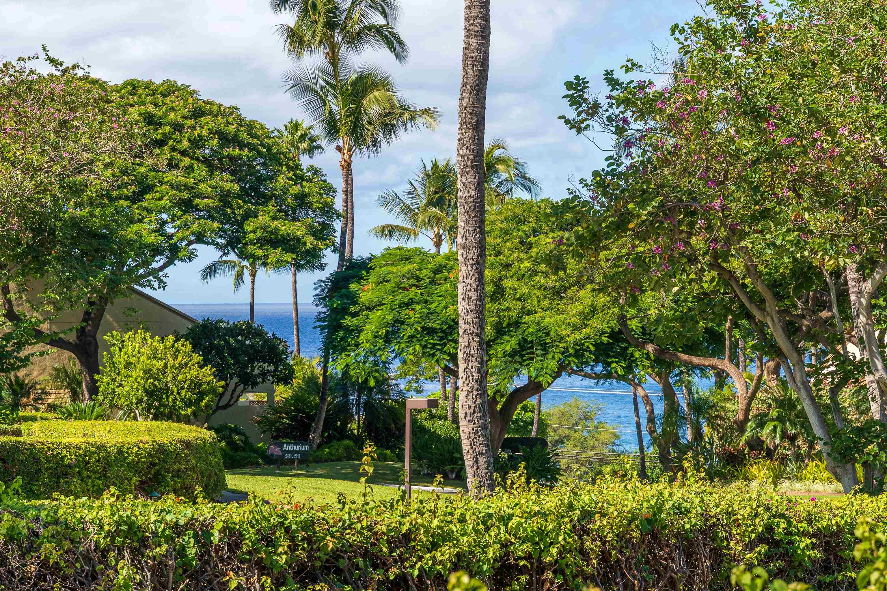 2777 S Kihei Rd Property Photo 5