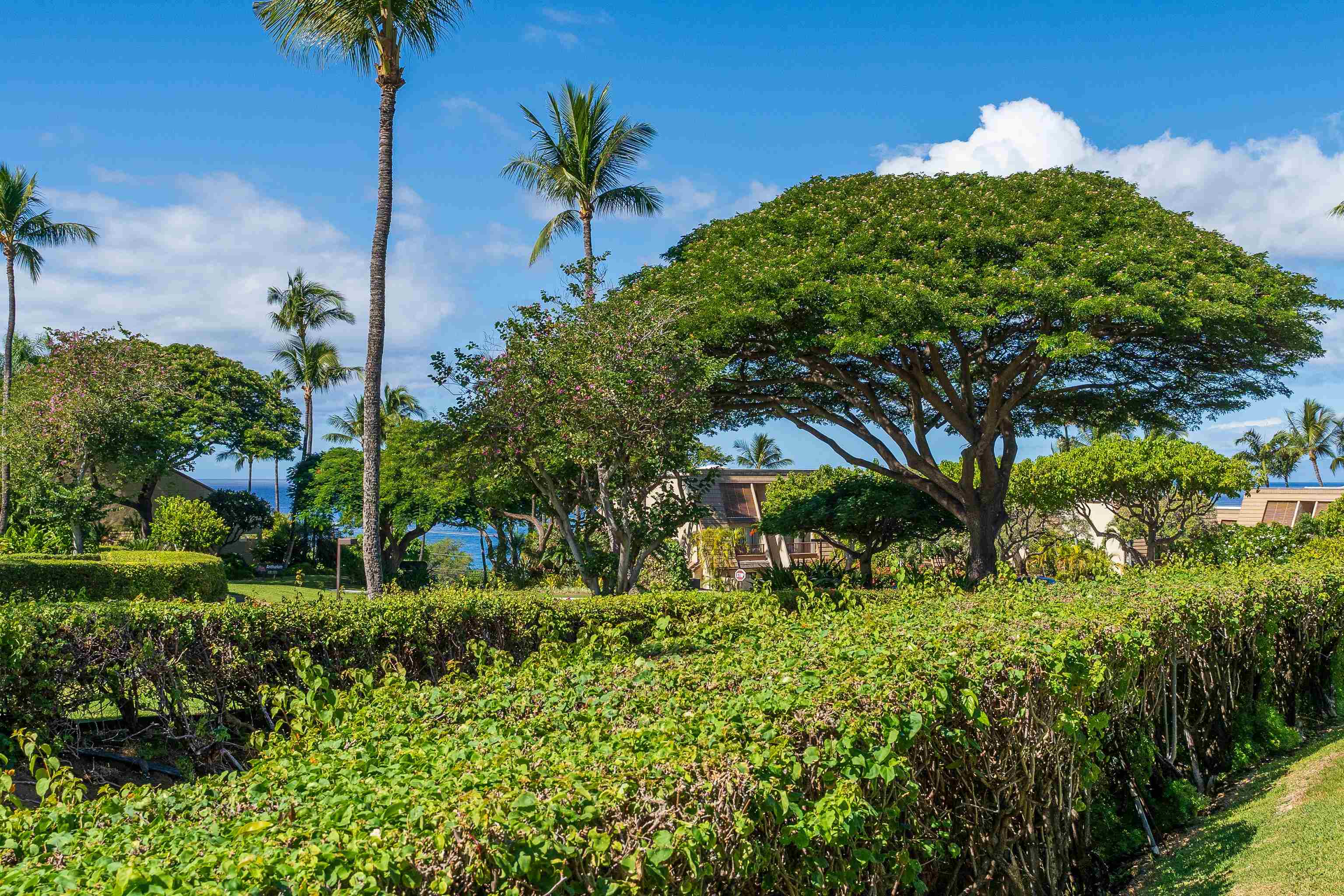 2777 S Kihei Rd Property Photo 27