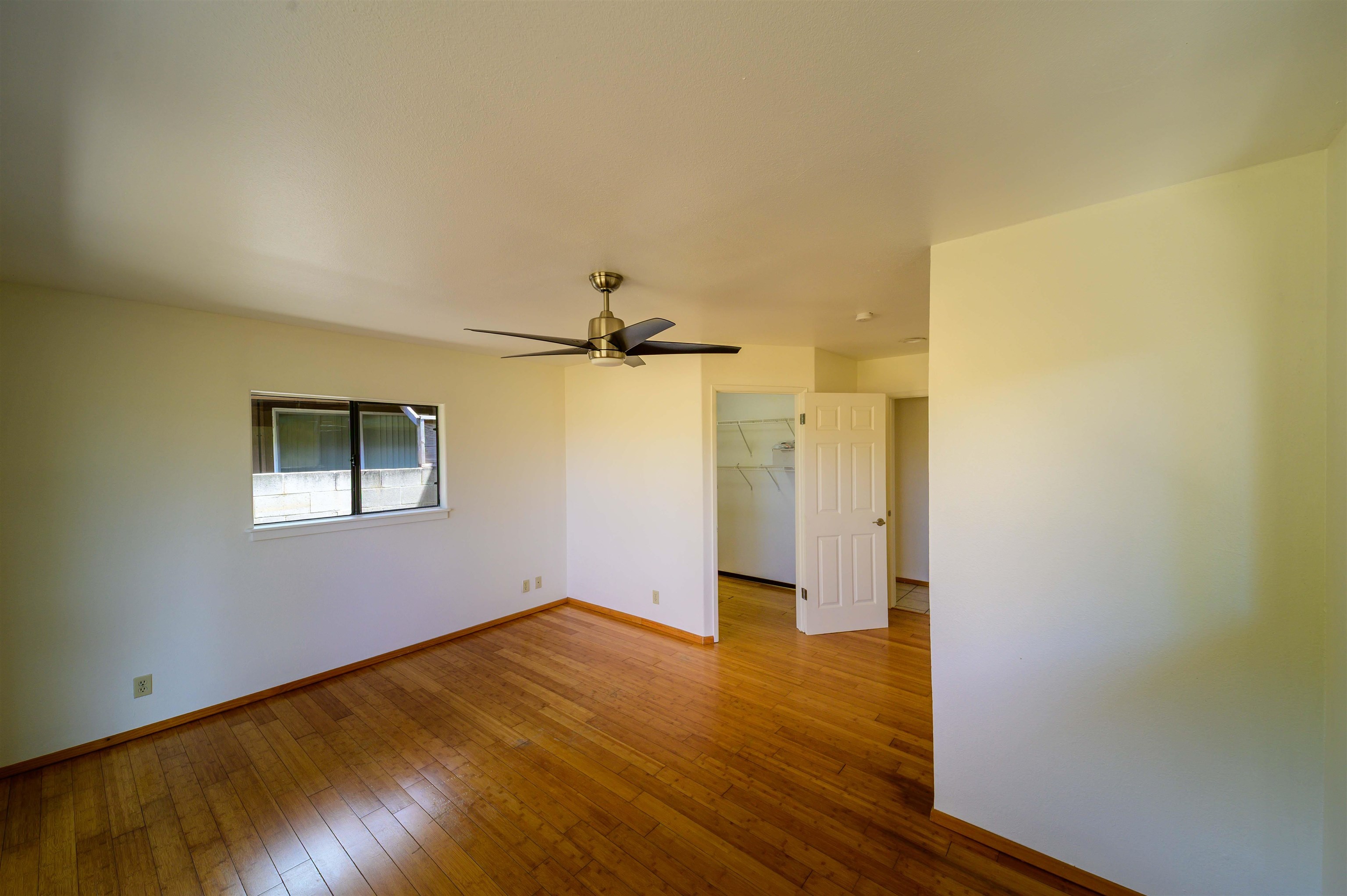 148 Hoomoku St Property Photo 28