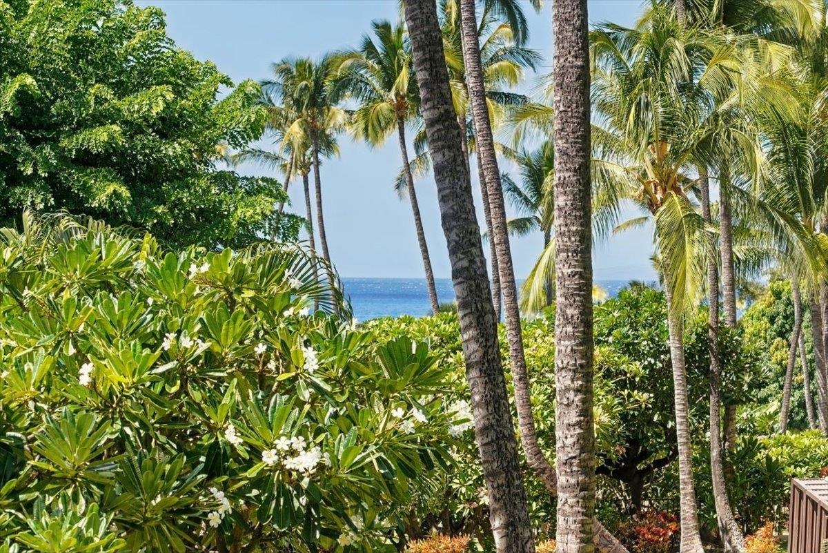 2531 S Kihei Rd Property Photo 23
