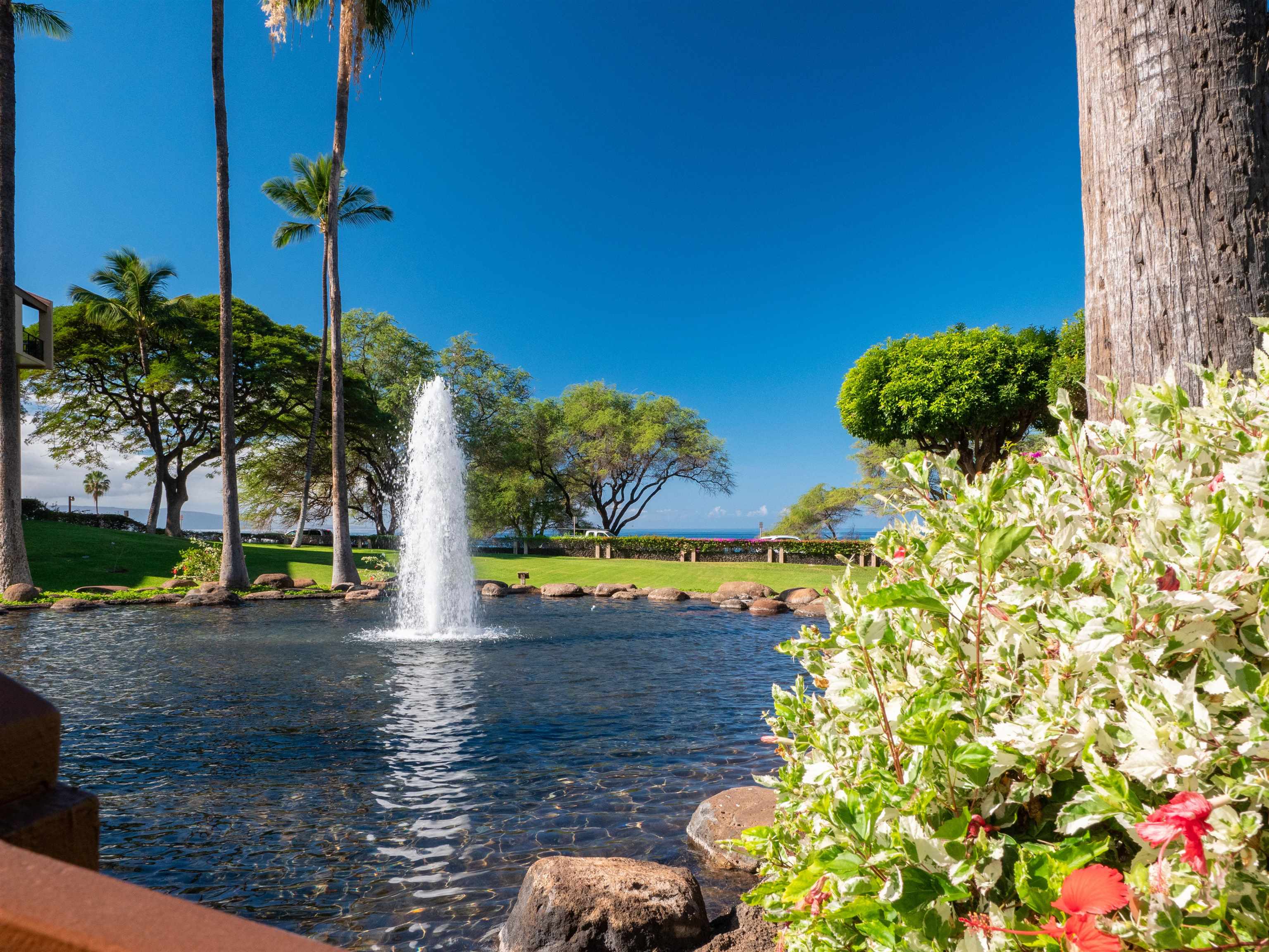 2695 S Kihei Rd Property Photo 38