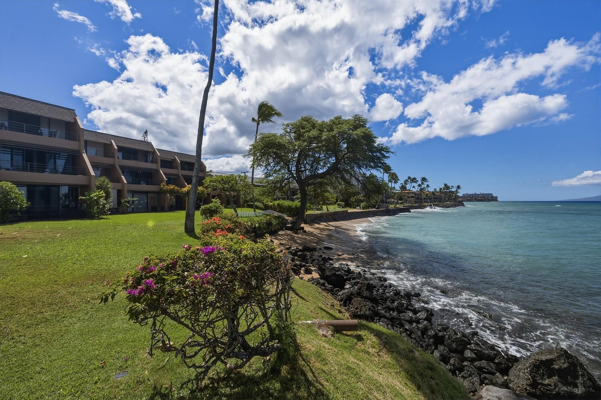 3959 Lower Honoapiilani Rd Property Photo 40