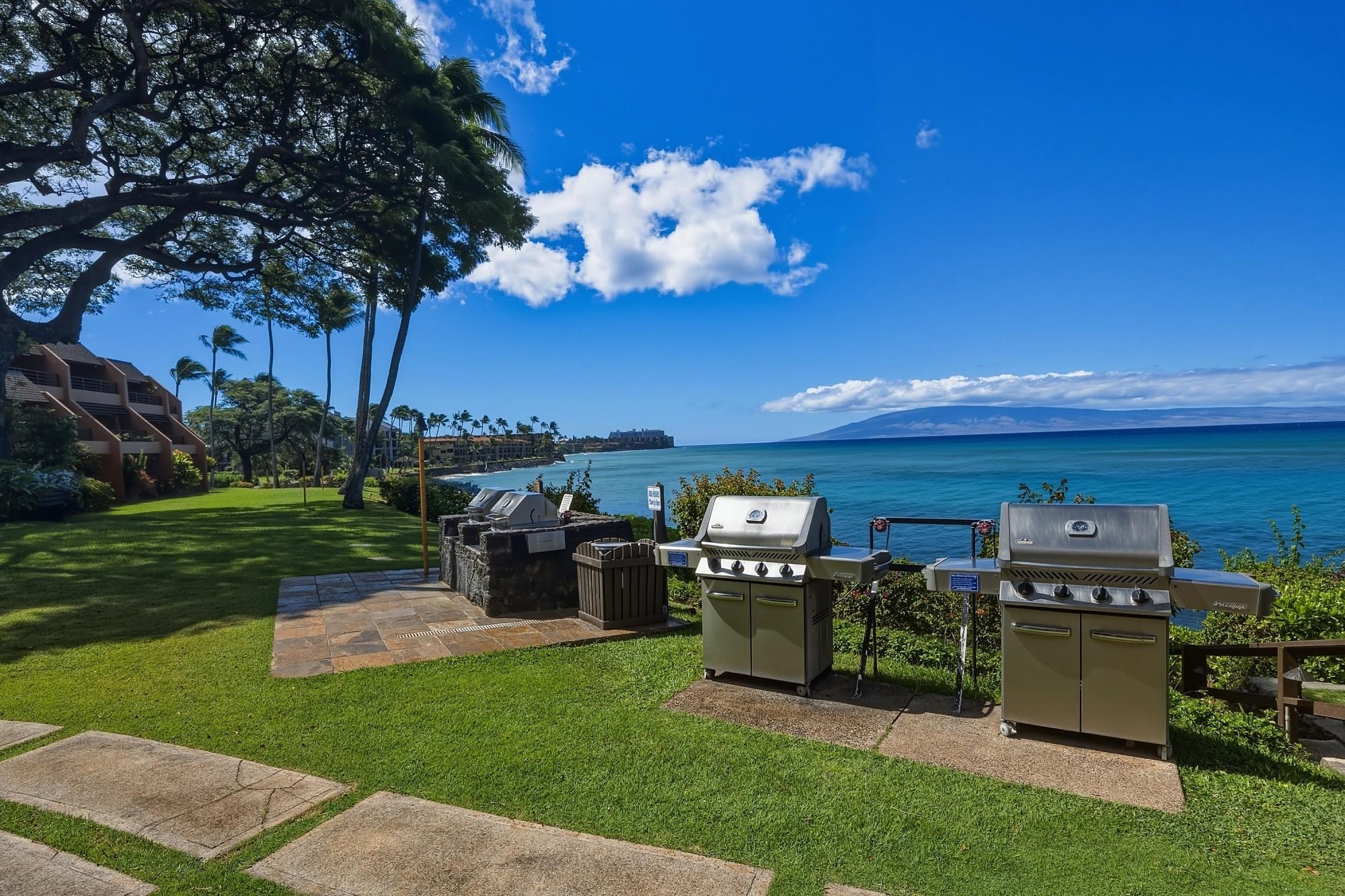 3959 Lower Honoapiilani Rd Property Photo 41