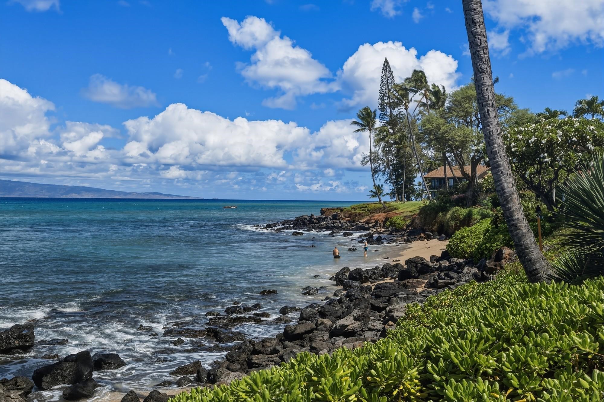 3959 Lower Honoapiilani Rd Property Photo 42