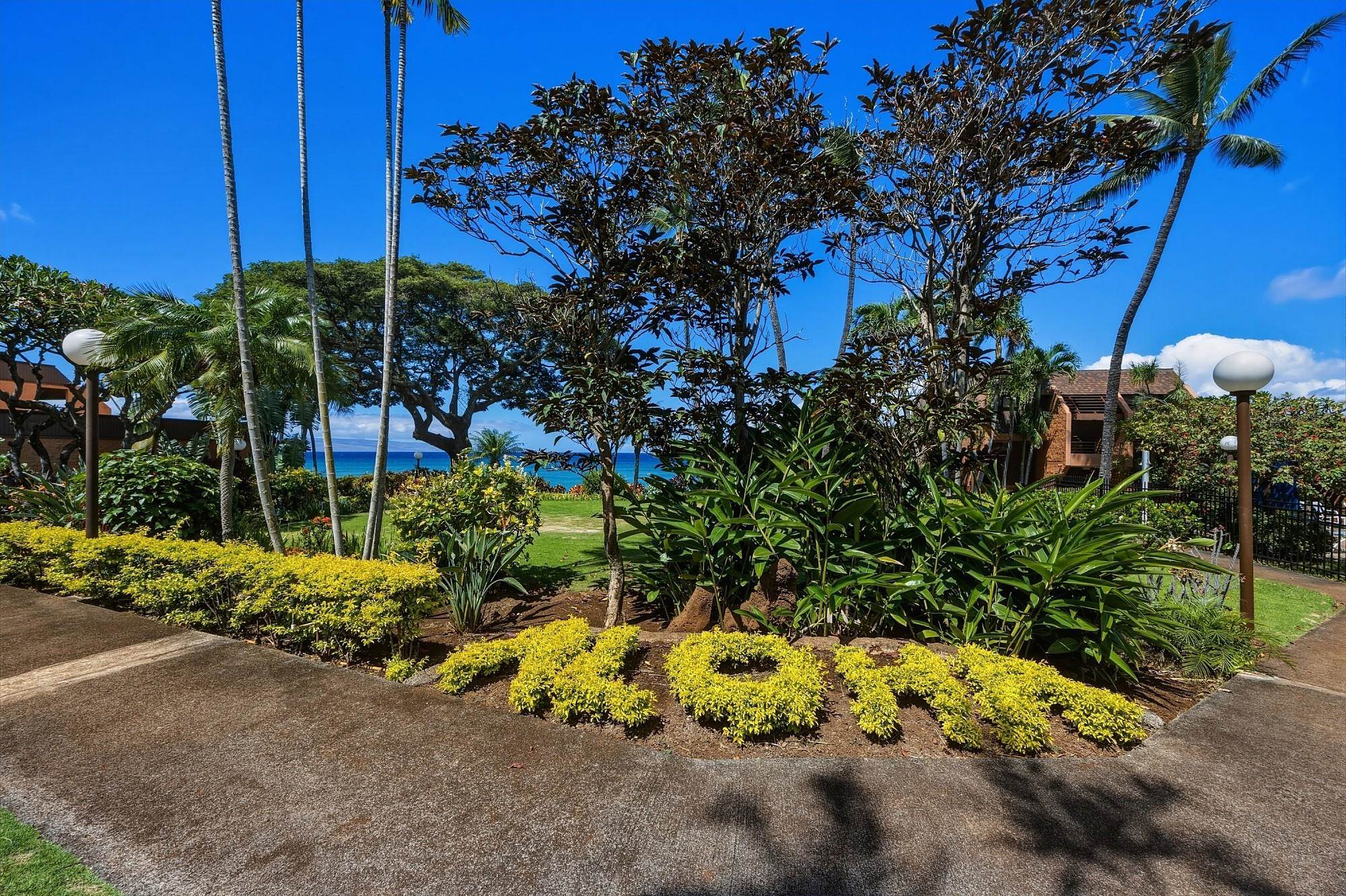 3959 Lower Honoapiilani Rd Property Photo 46