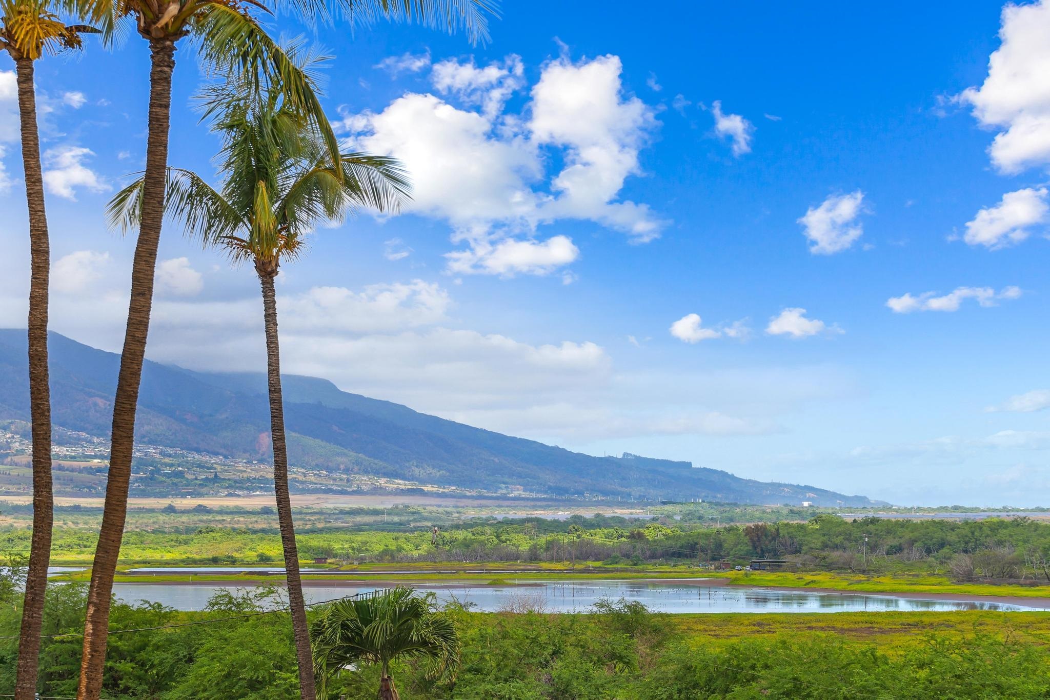 145 N Kihei Rd Property Photo 24