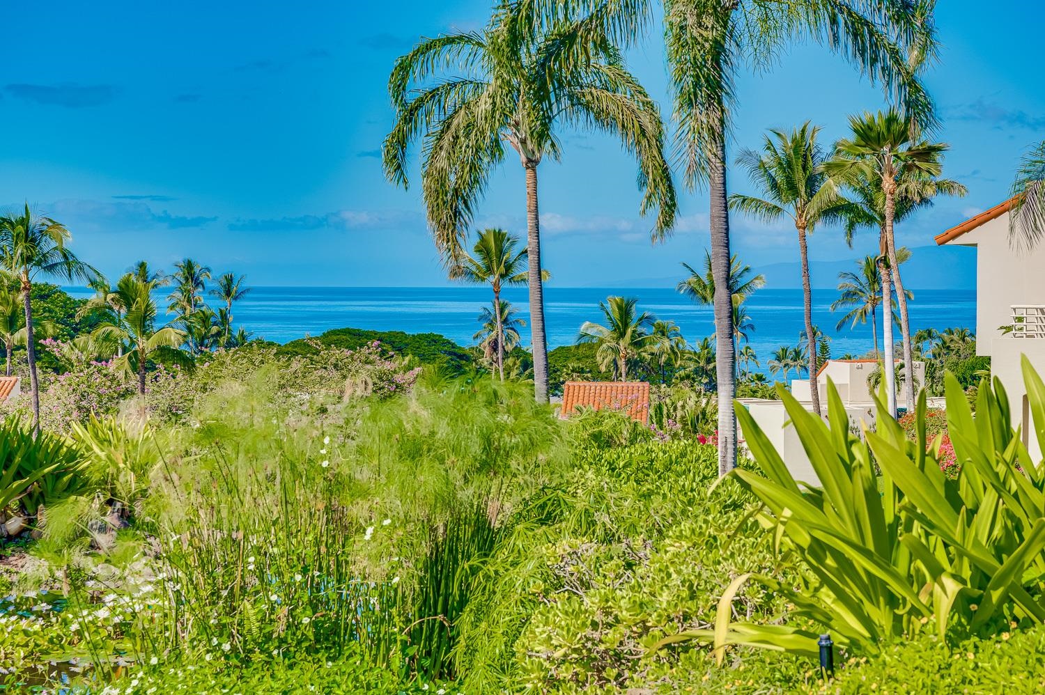 3200 Wailea Alanui Dr Property Photo 30