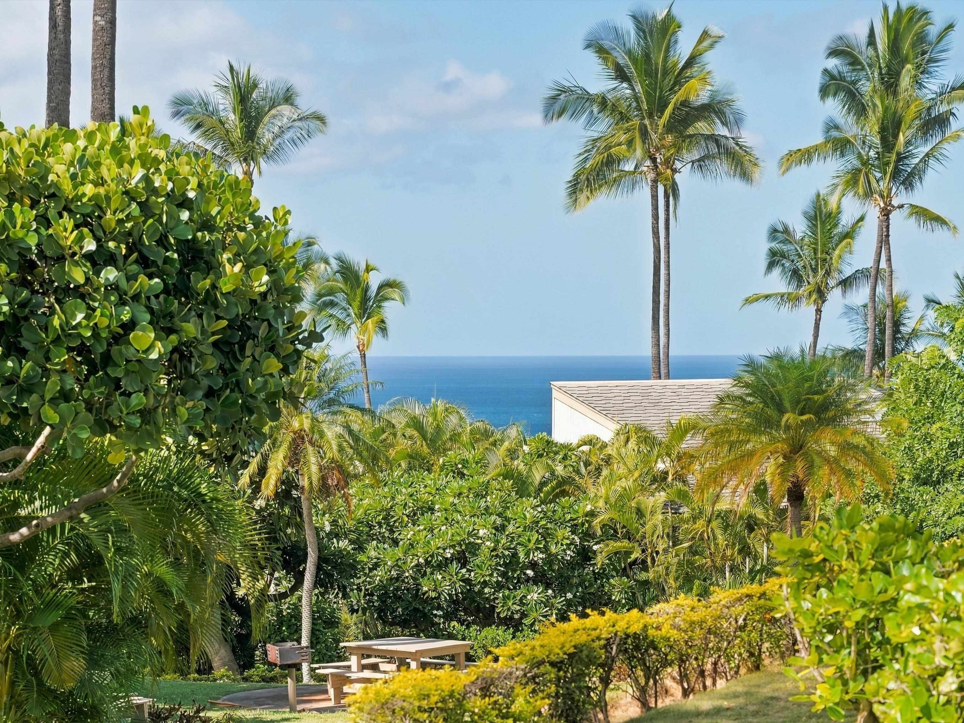 10 Wailea Ekolu Pl Property Photo 2