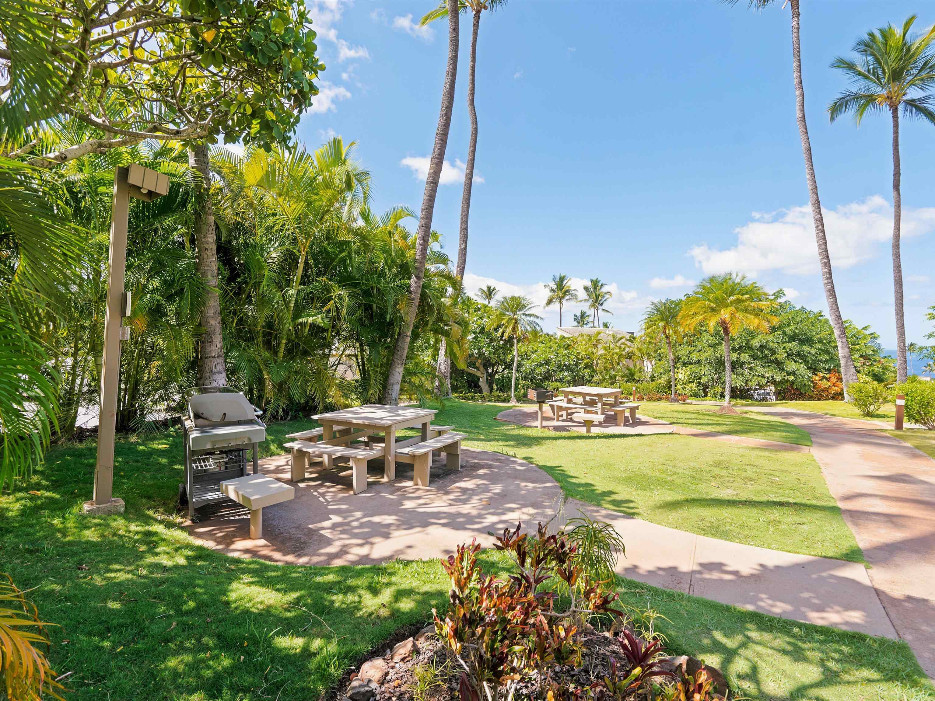 10 Wailea Ekolu Pl Property Photo 31