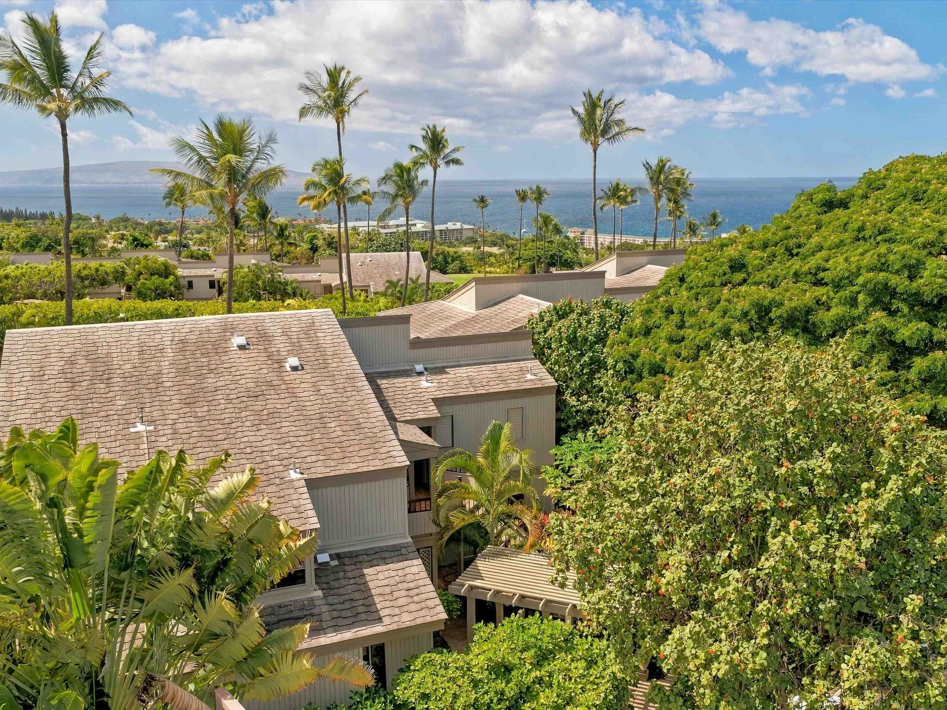 10 Wailea Ekolu Pl Property Photo 32
