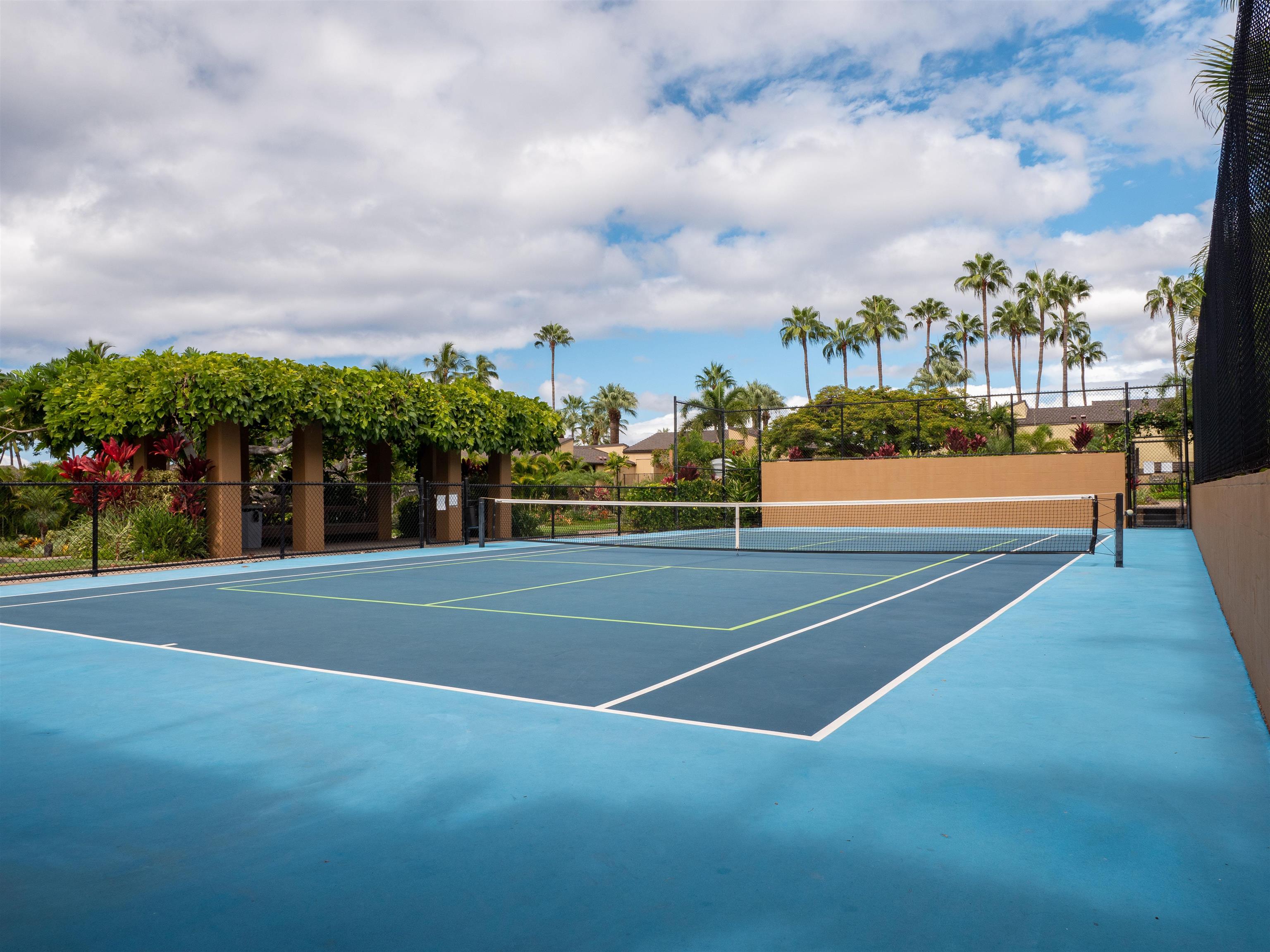 3600 Wailea Alanui Dr Property Photo 33