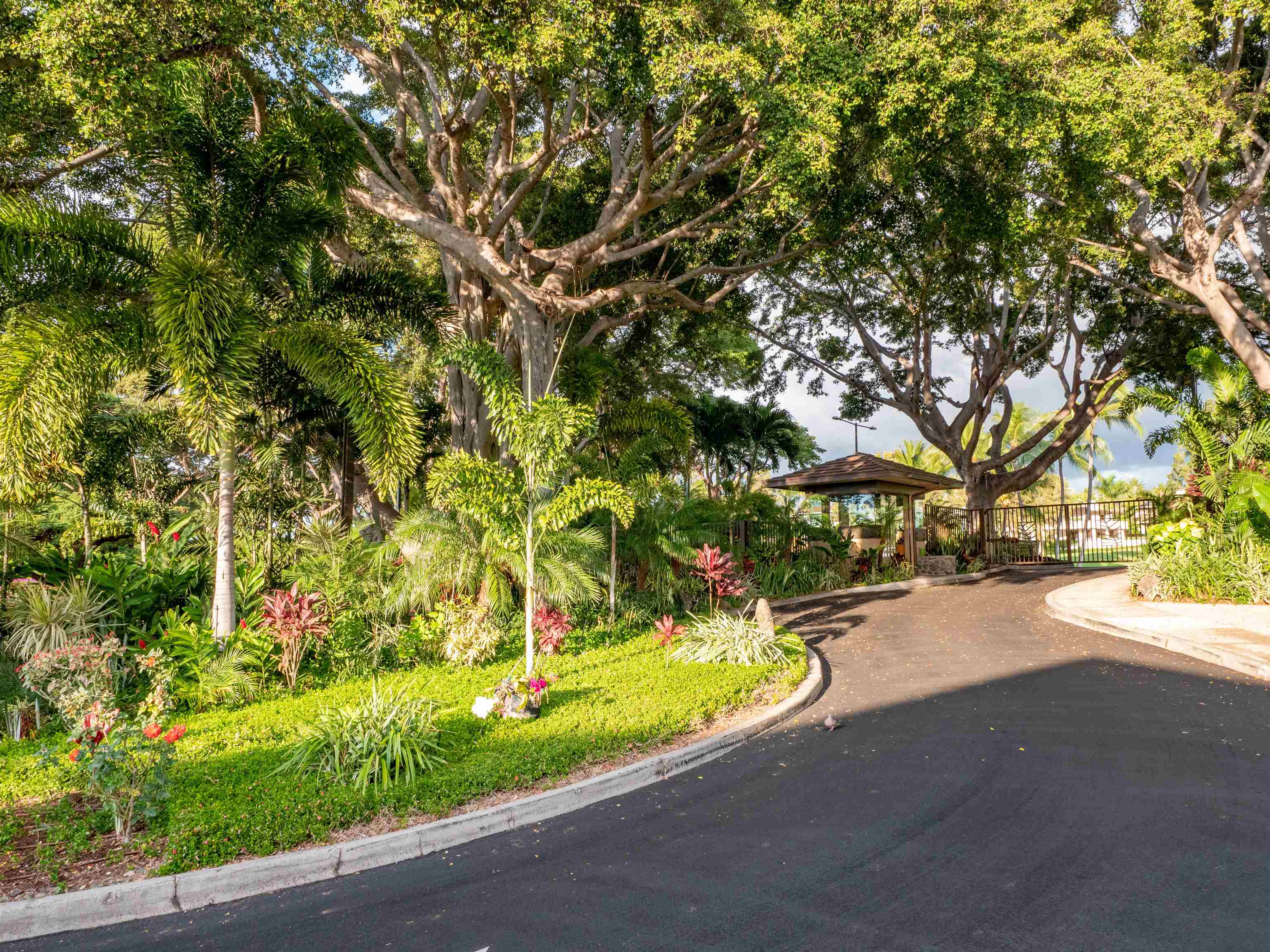 3600 Wailea Alanui Dr Property Photo 36