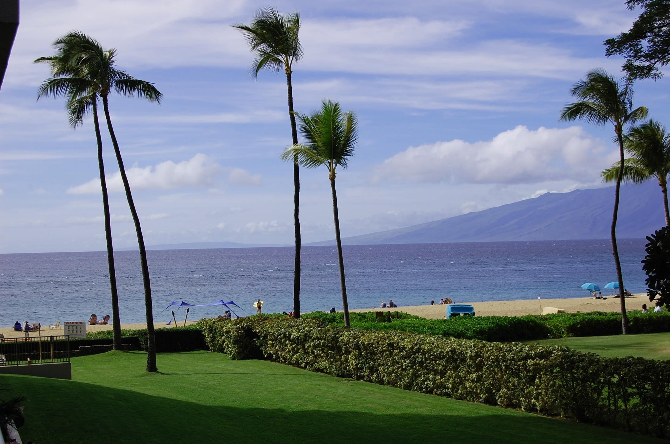 2481 Kaanapali Pkwy Property Photo 1