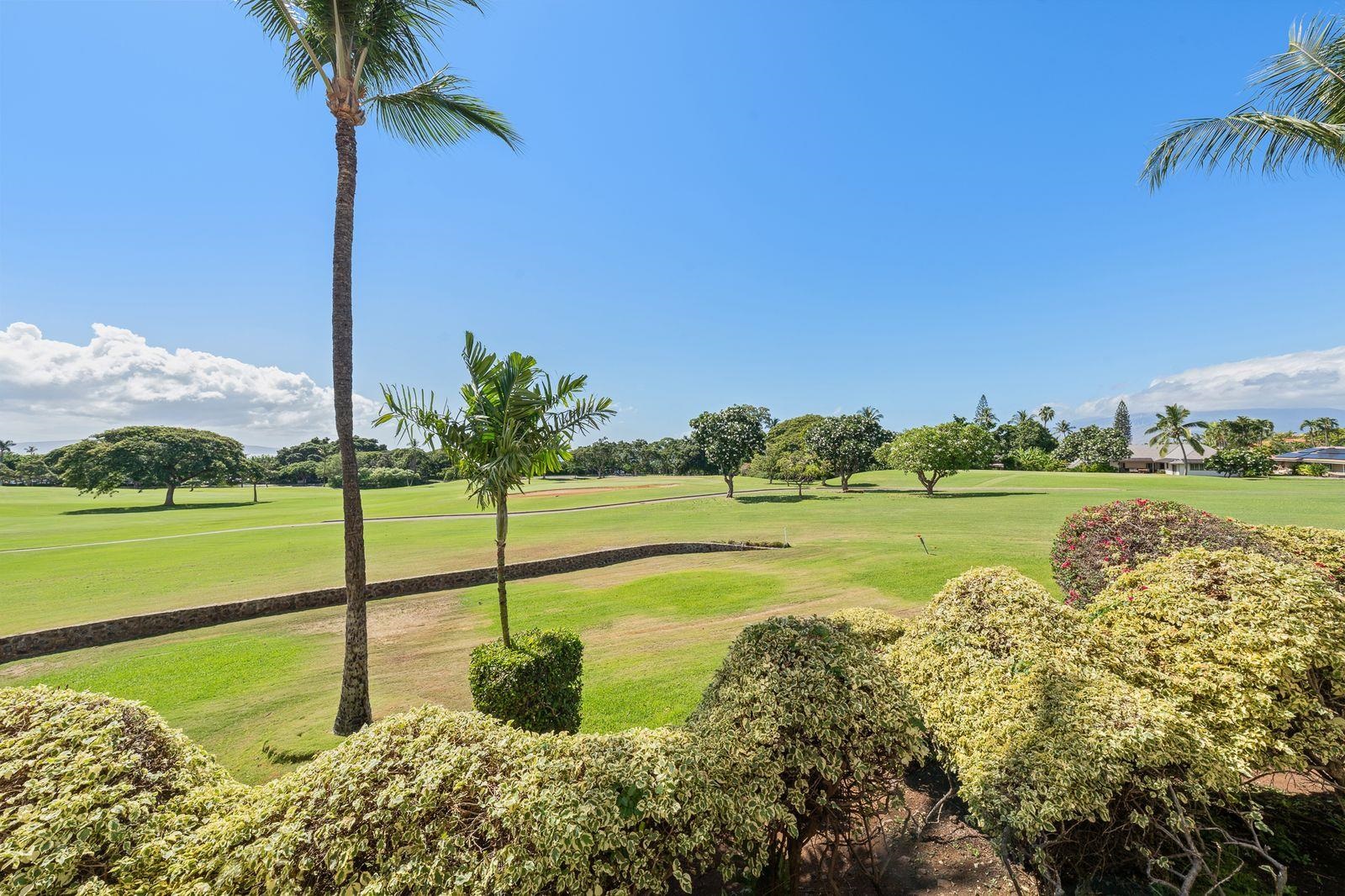 155 Wailea Ike Pl Property Photo 9