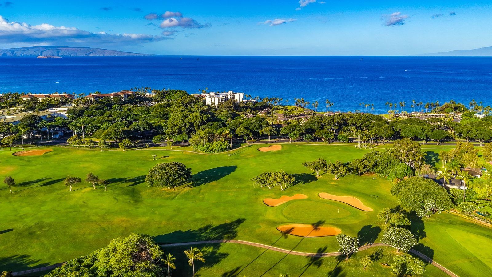 155 Wailea Ike Pl Property Photo 45
