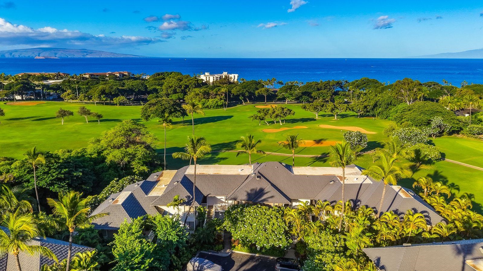 155 Wailea Ike Pl Property Photo 46